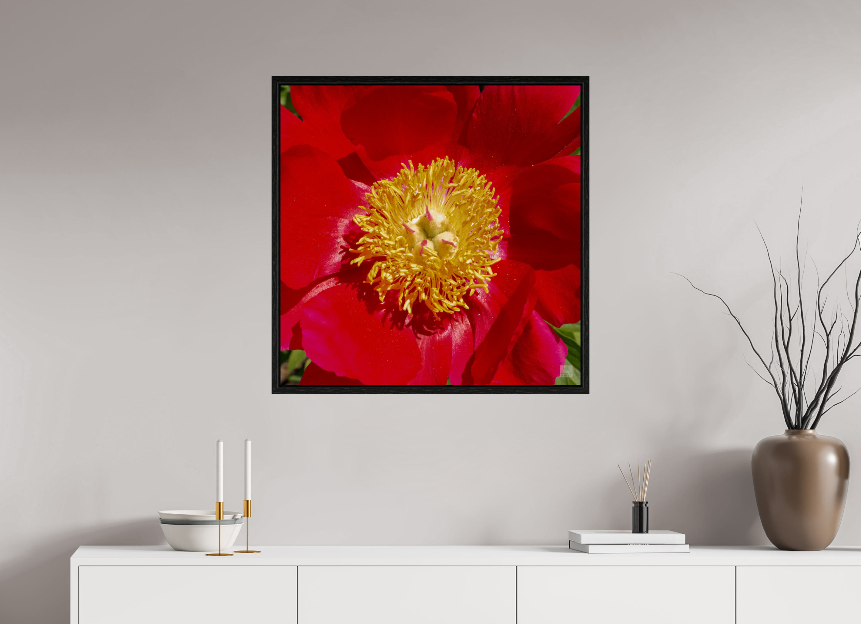 Peony_red close up_aspect ratio 1x1