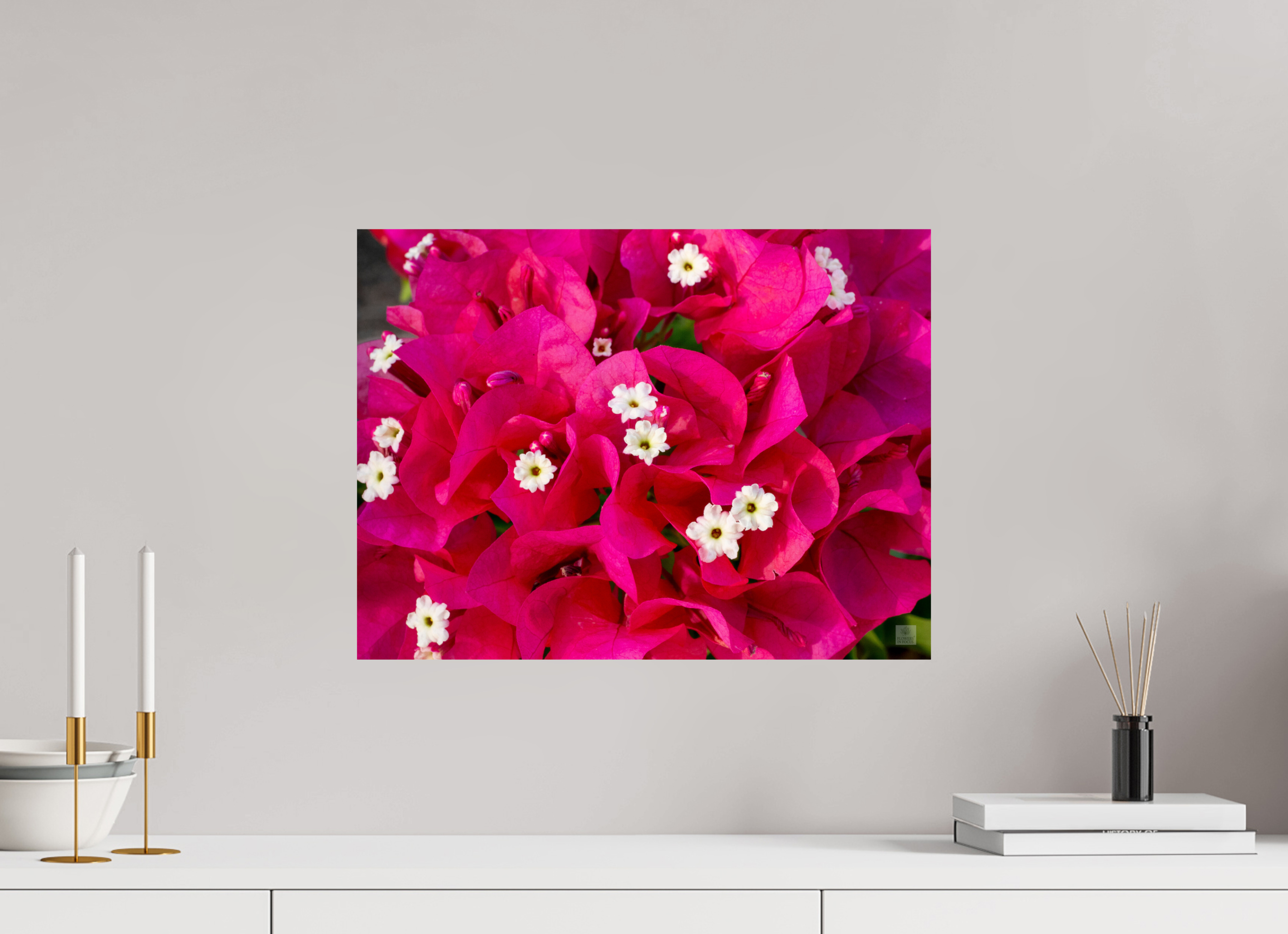 Bougainvillea_pink bunch_aspect ratio 4:3