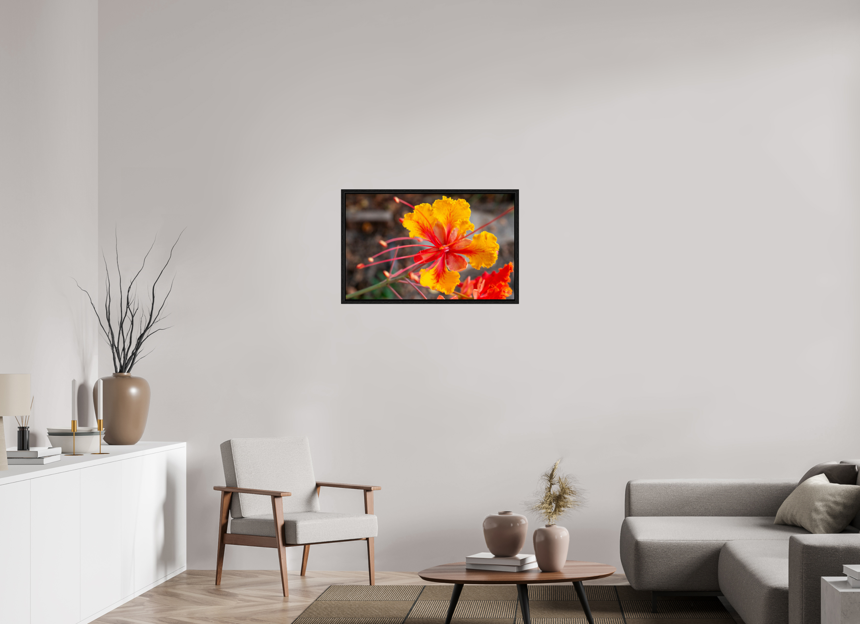 Pride of Barbados_yellow with orange_aspect ratio 16x10
