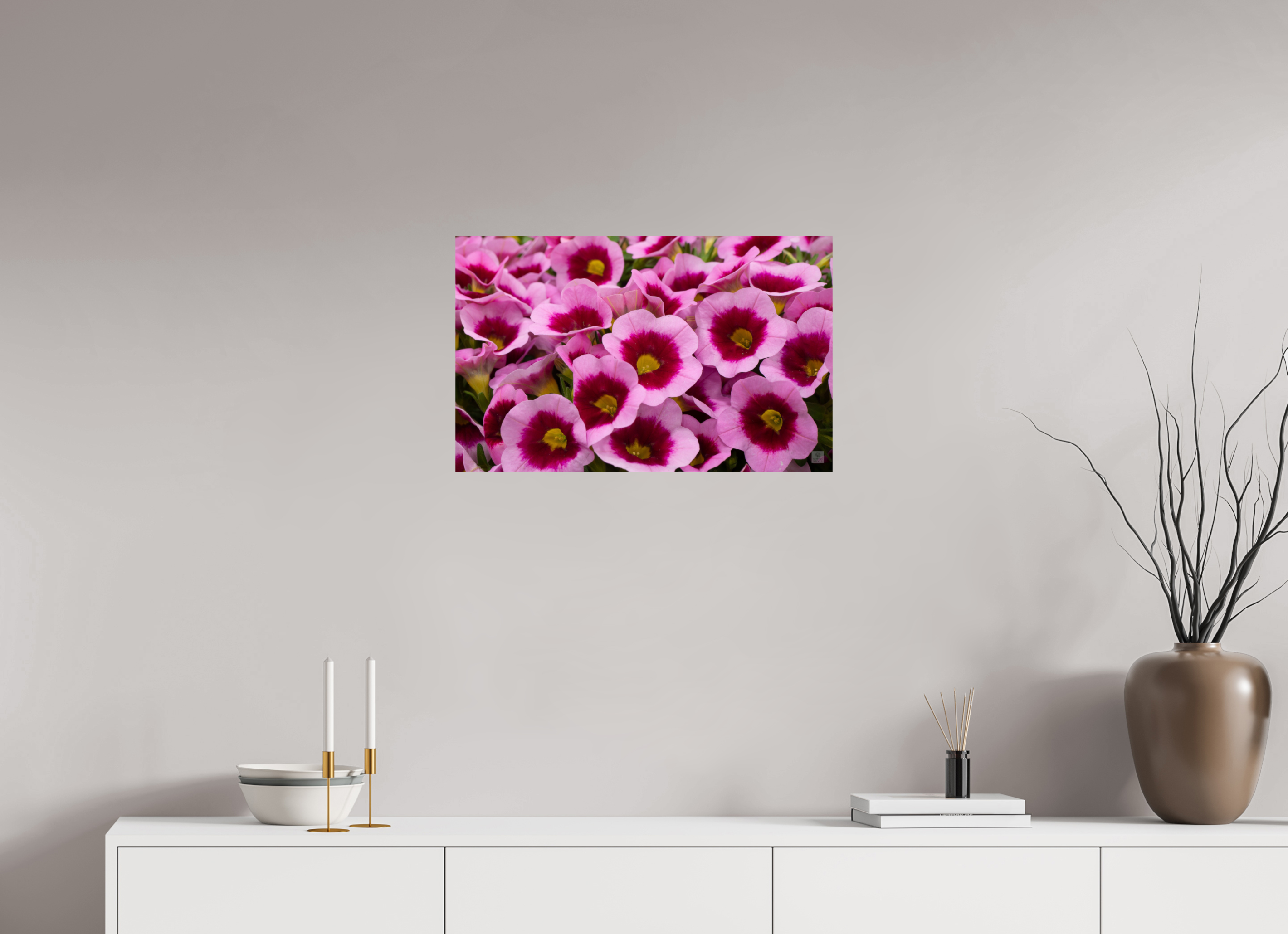 Calibrachoa_pink & purple_aspect ratio 16:10