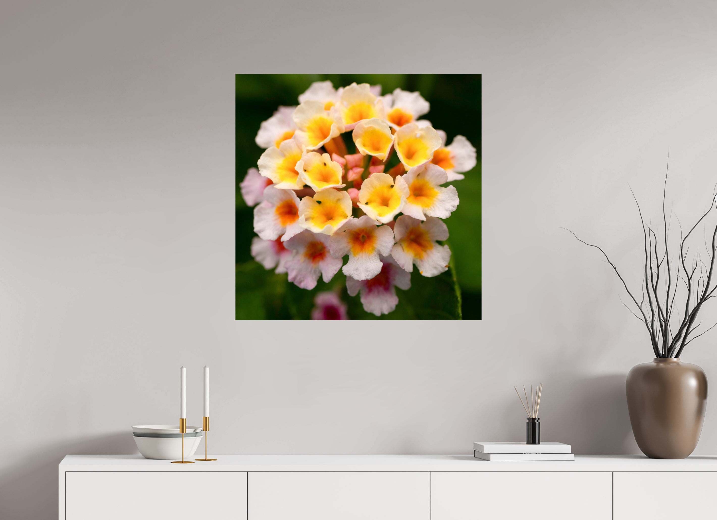 Lantana_light yellow with pale pink_aspect ratio 1x1