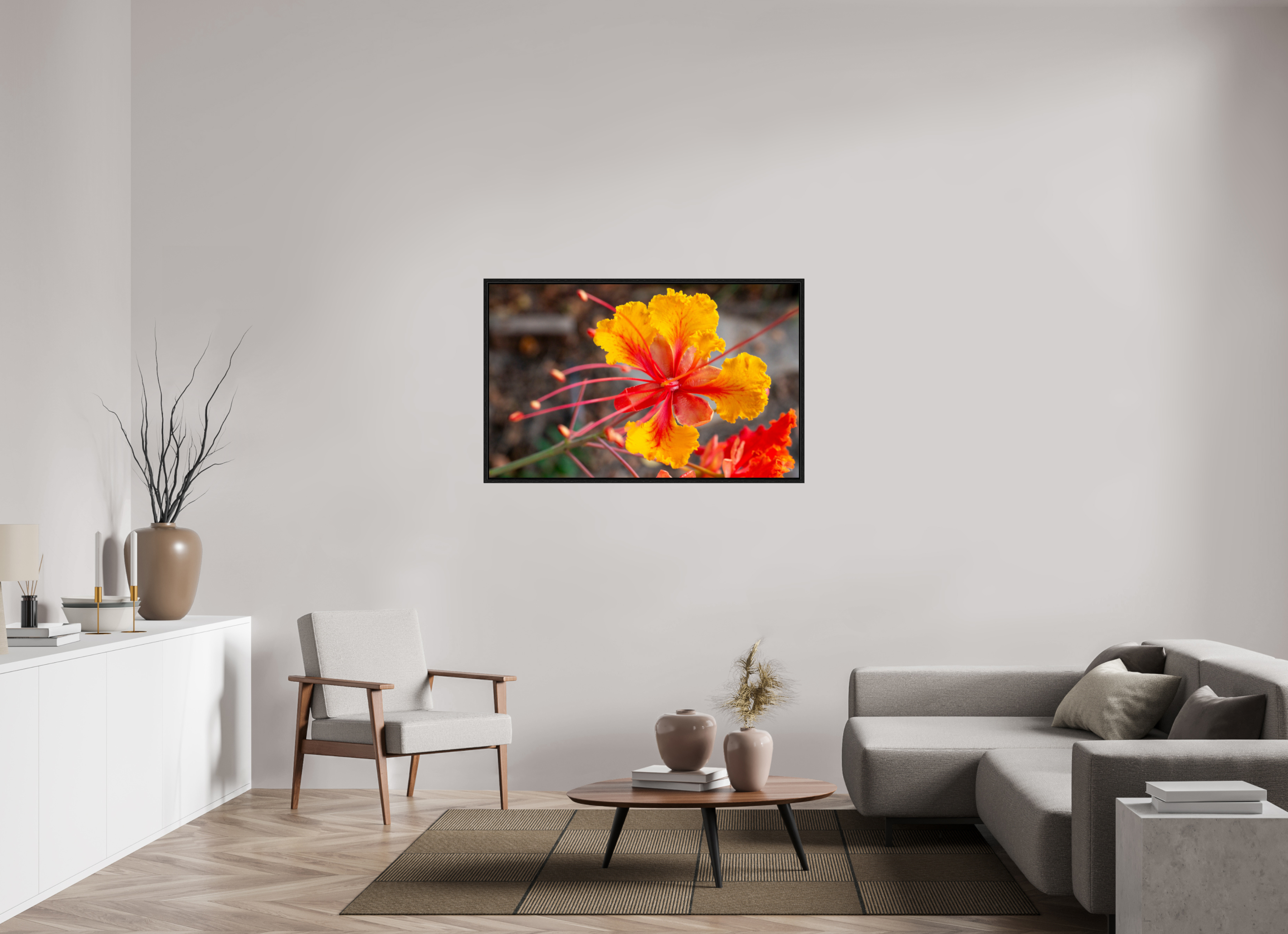Pride of Barbados_yellow with orange_aspect ratio 16x10