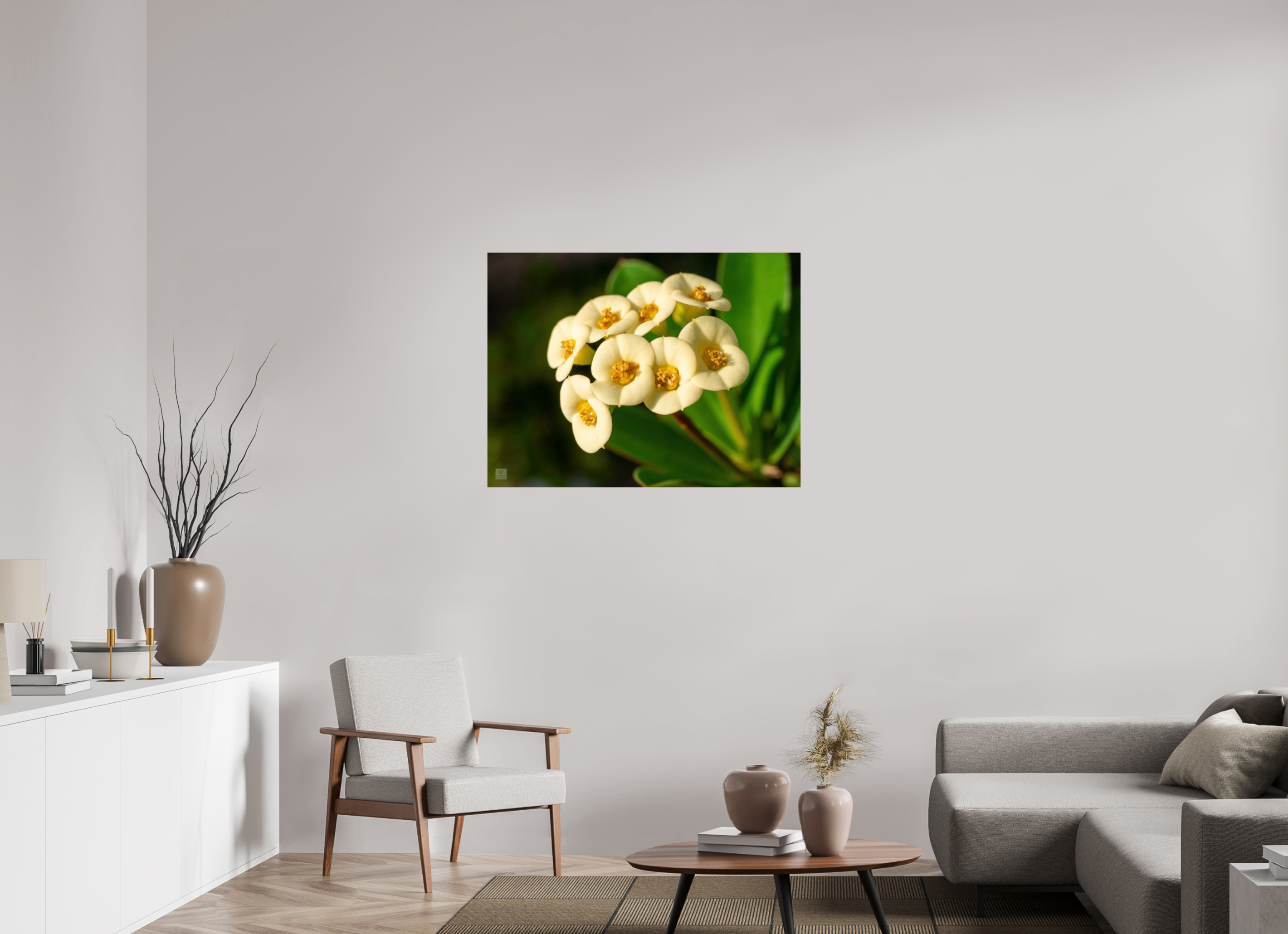 Crown of Thorns_flower group_aspect ratio 4:3