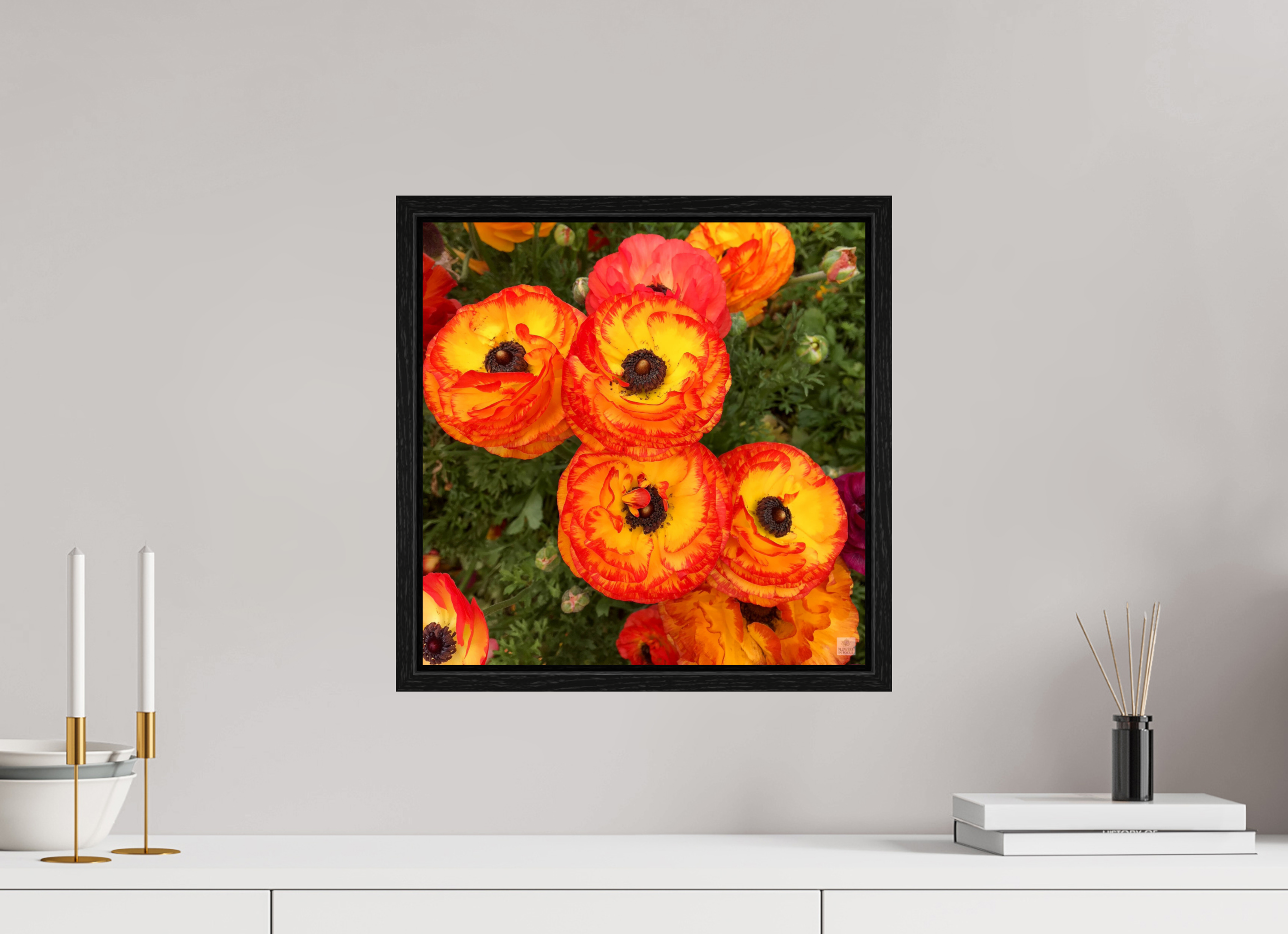Ranunculus_bright orange_flower group_aspect ratio is 1:1