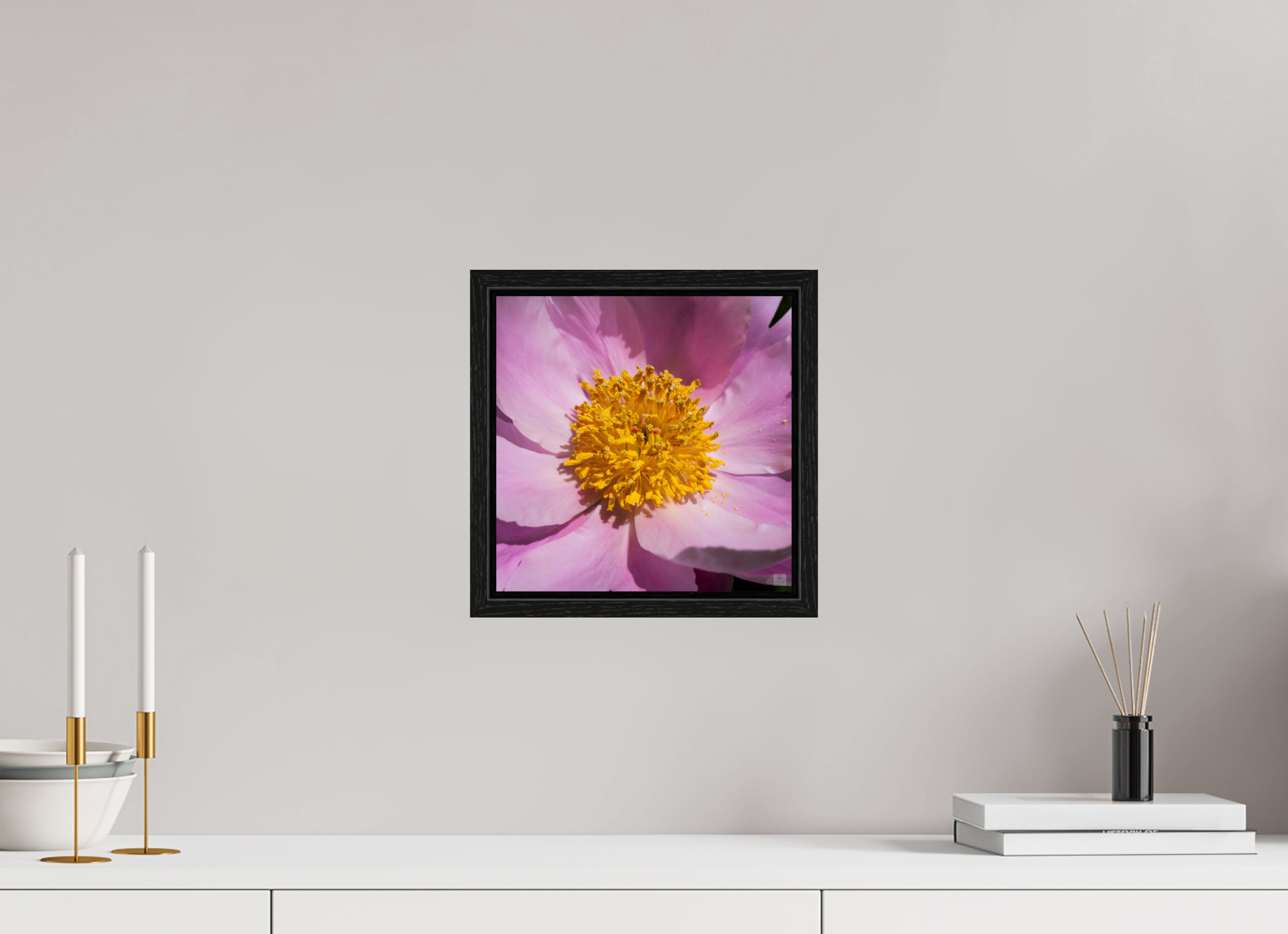 Peony_light pink close-up_aspect ratio 1x1