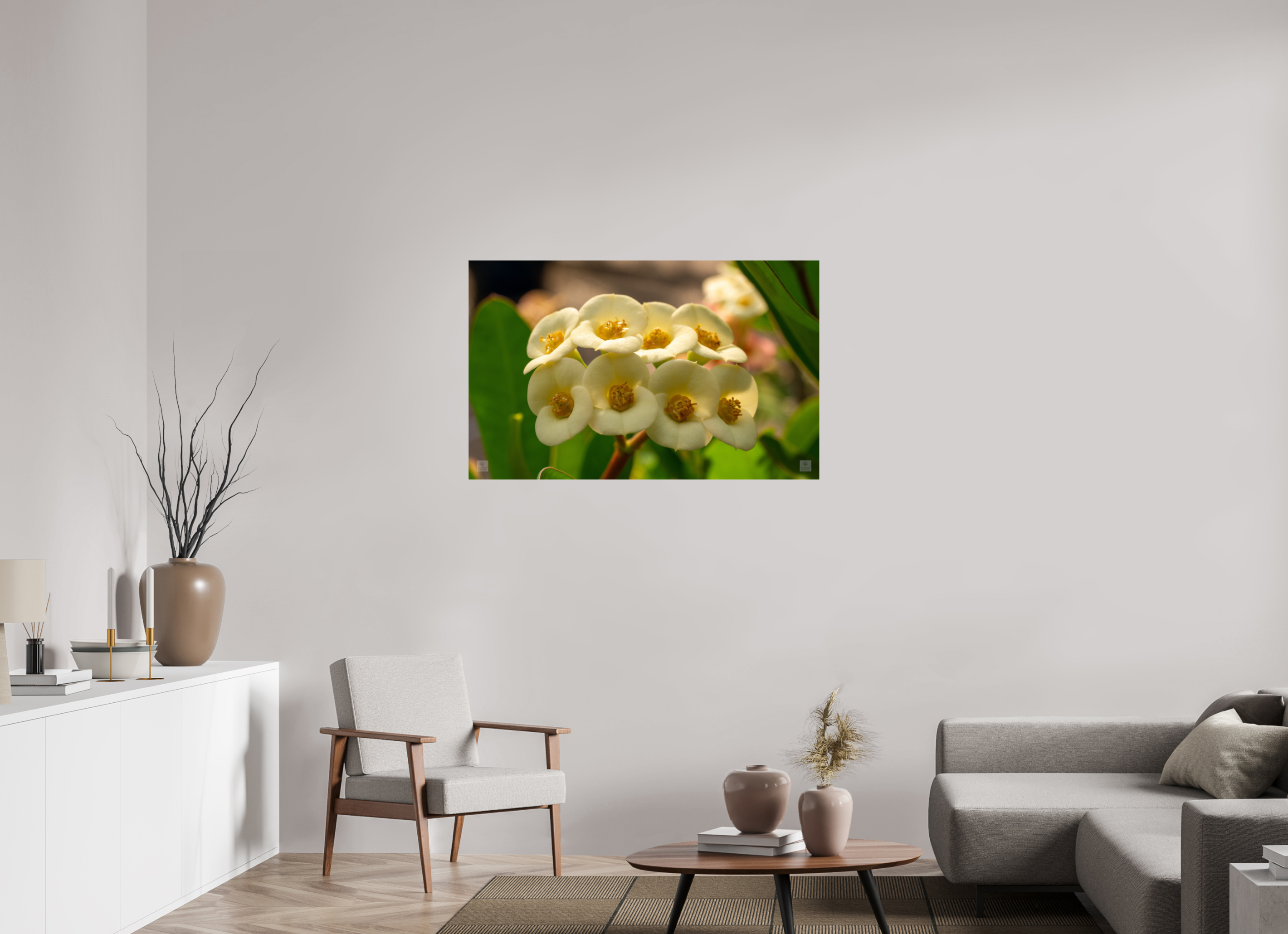 Crown of Thorns_flower group_aspect ratio 16:10