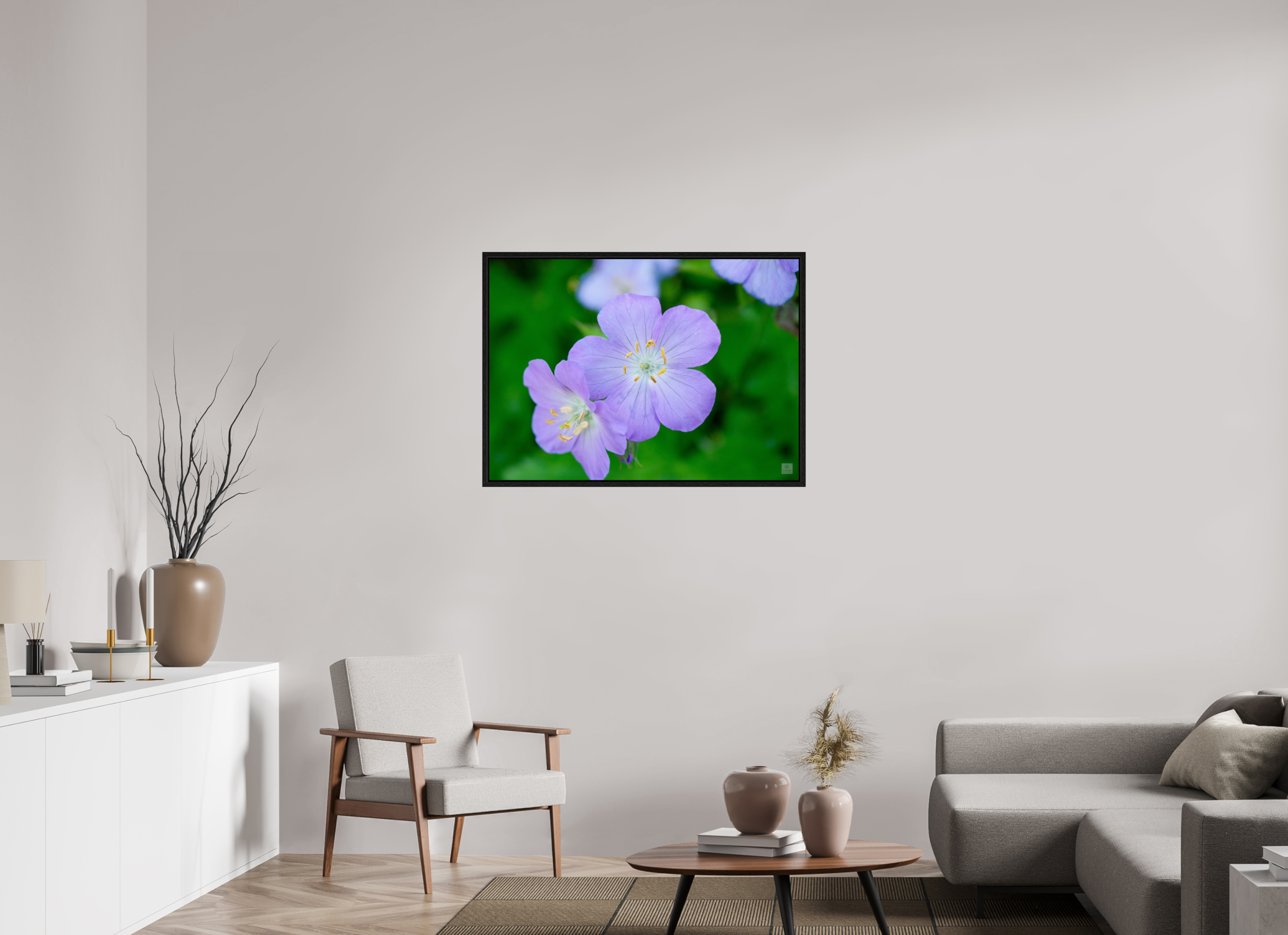 Hardy Geranium_Cranesbill_aspect ratio 7:5