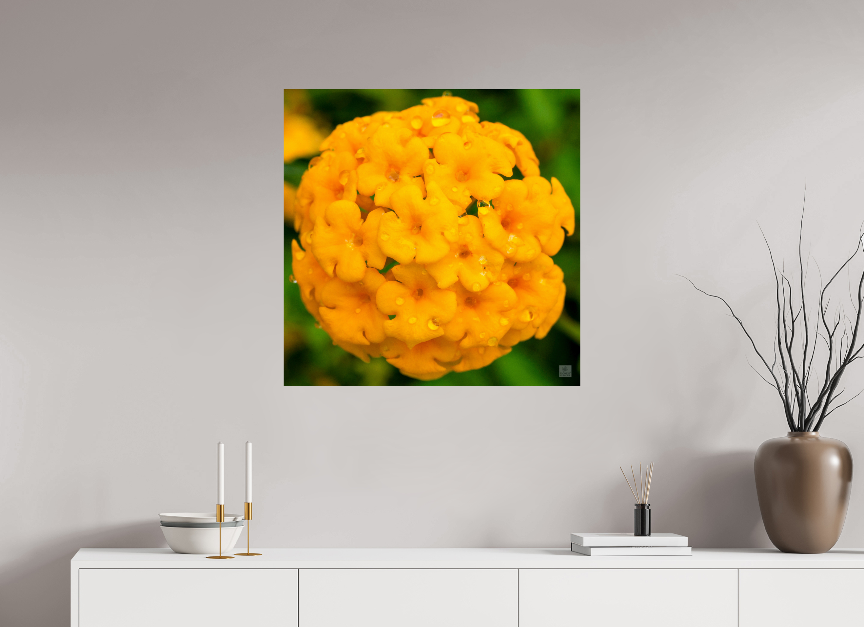 Lantana hybrid_yellow (with water droplets)_aspect ration 1x1
