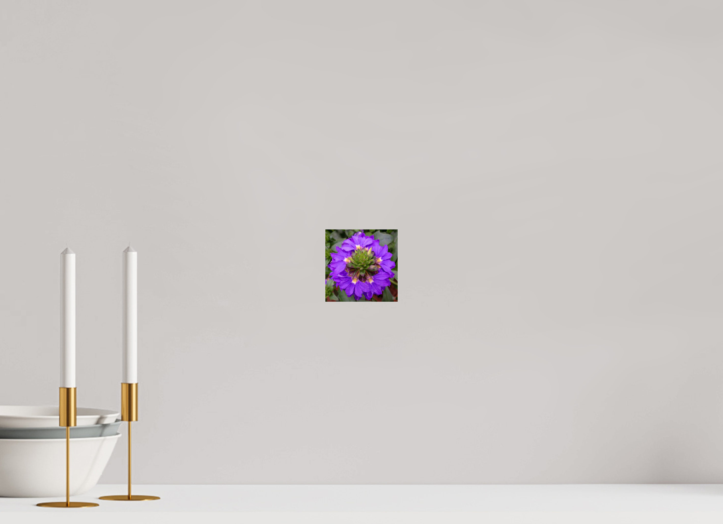Scaevola_blue_aspect ratio 1x1