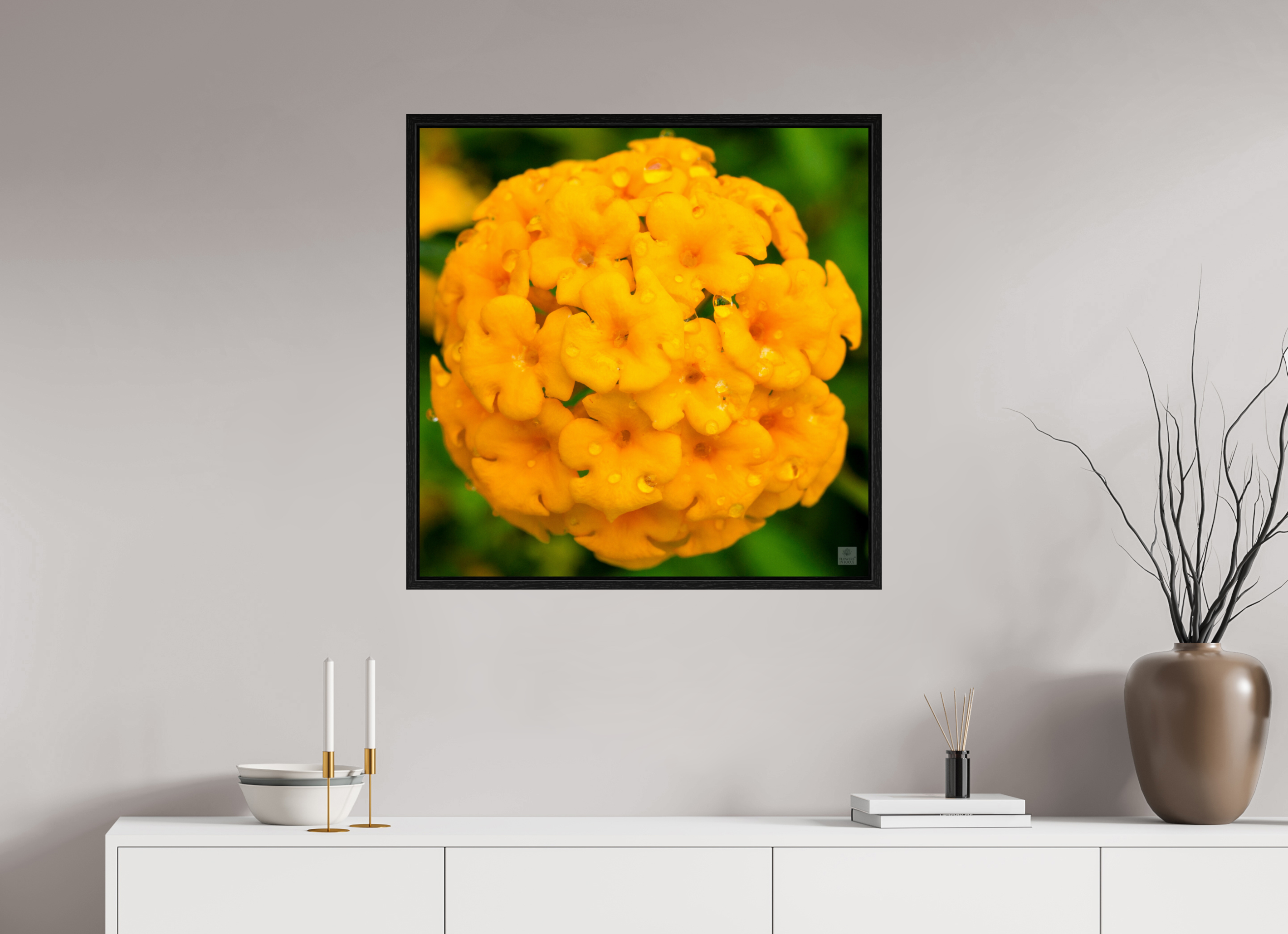 Lantana hybrid_yellow (with water droplets)_aspect ration 1x1