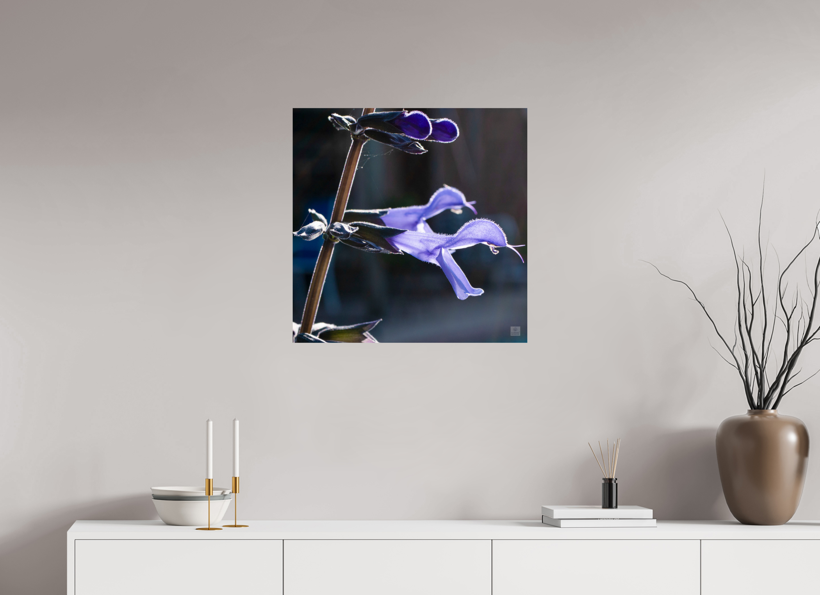 Blue black sage_group_aspect ratio 1x1