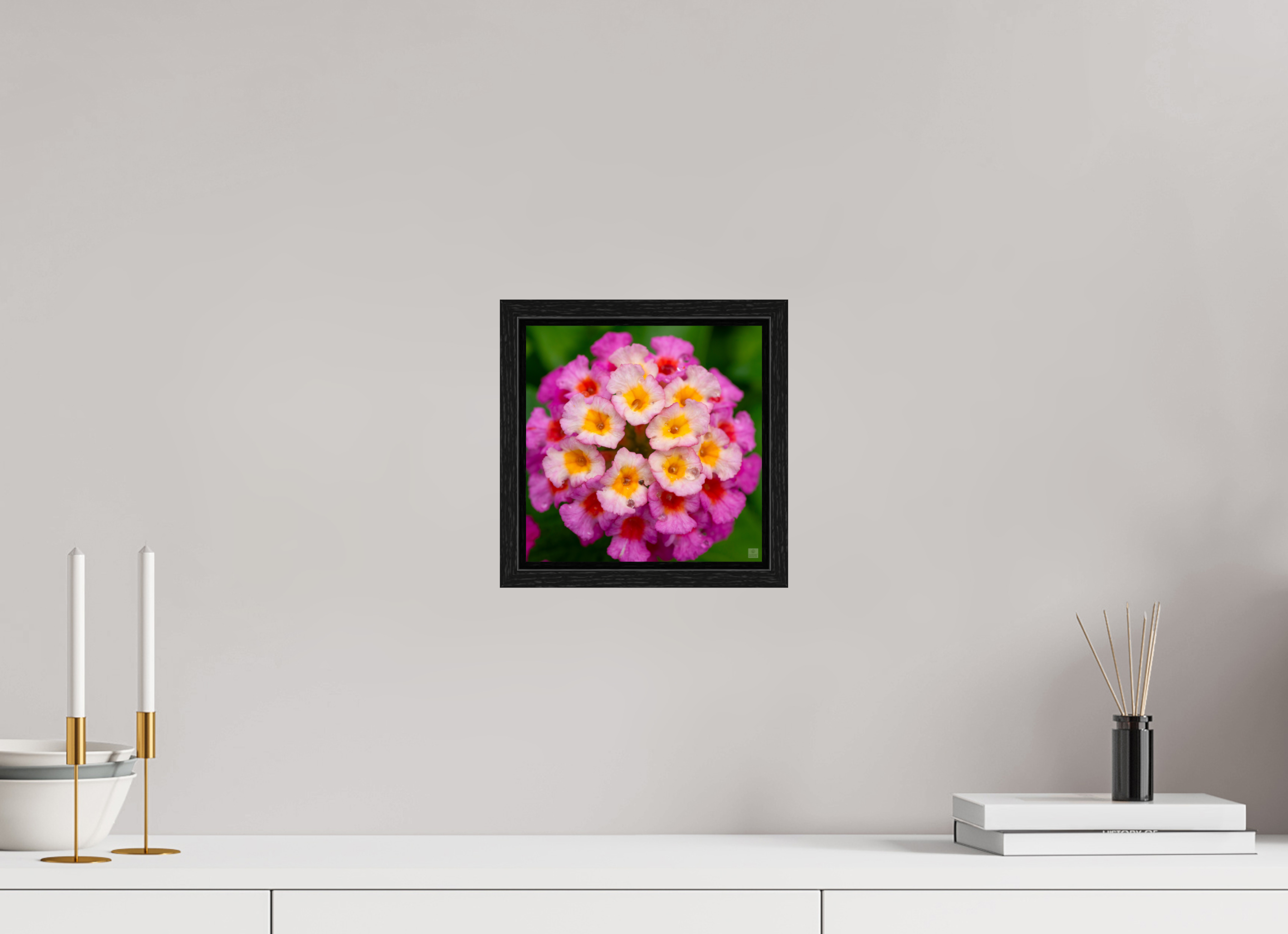 Lantana_deep pink with yellow_water droplets_aspect ratio 1x1