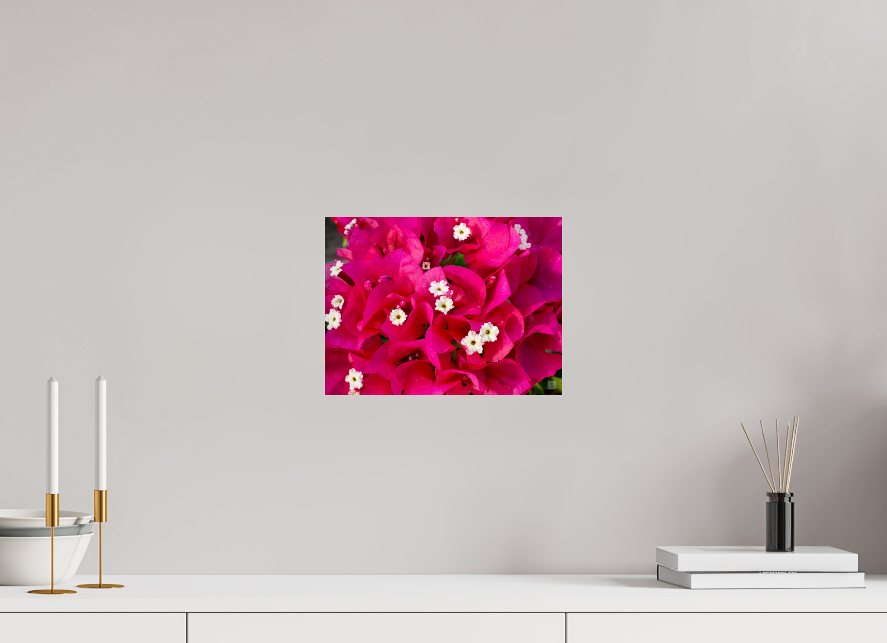 Bougainvillea_pink bunch_aspect ratio 4:3