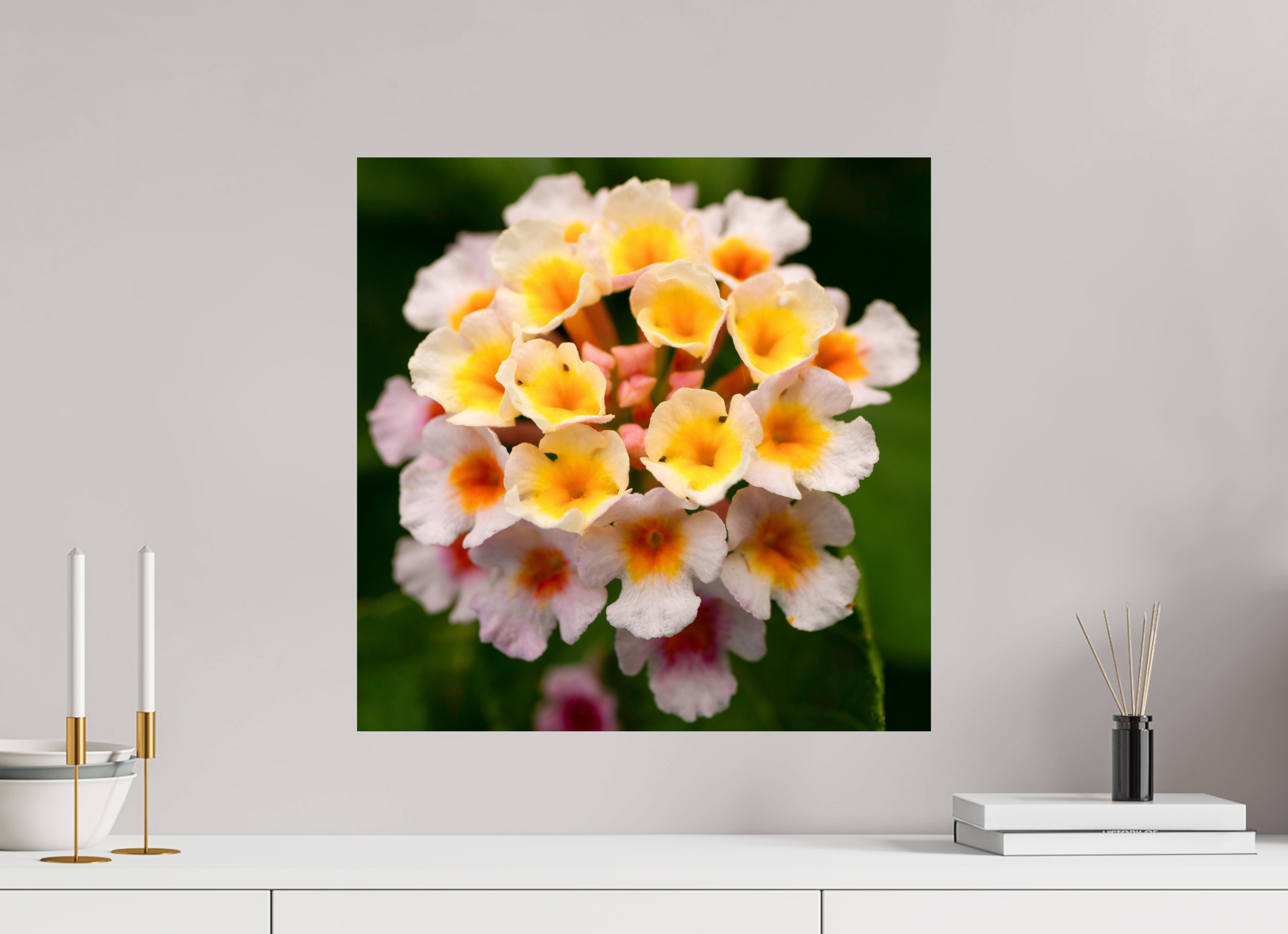Lantana_light yellow with pale pink_aspect ratio 1x1