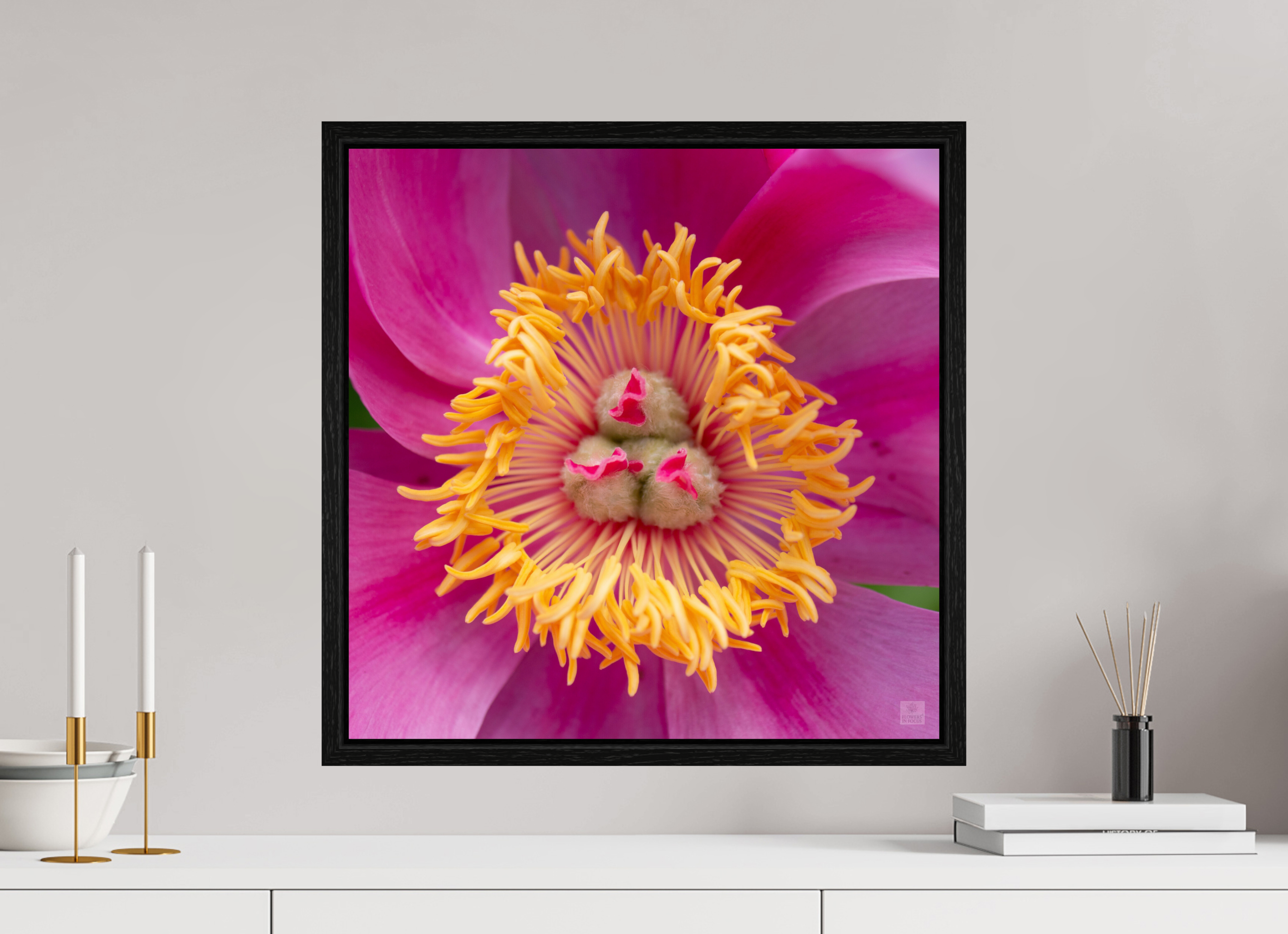 Peony_pink_center-2_aspect ratio 1x1