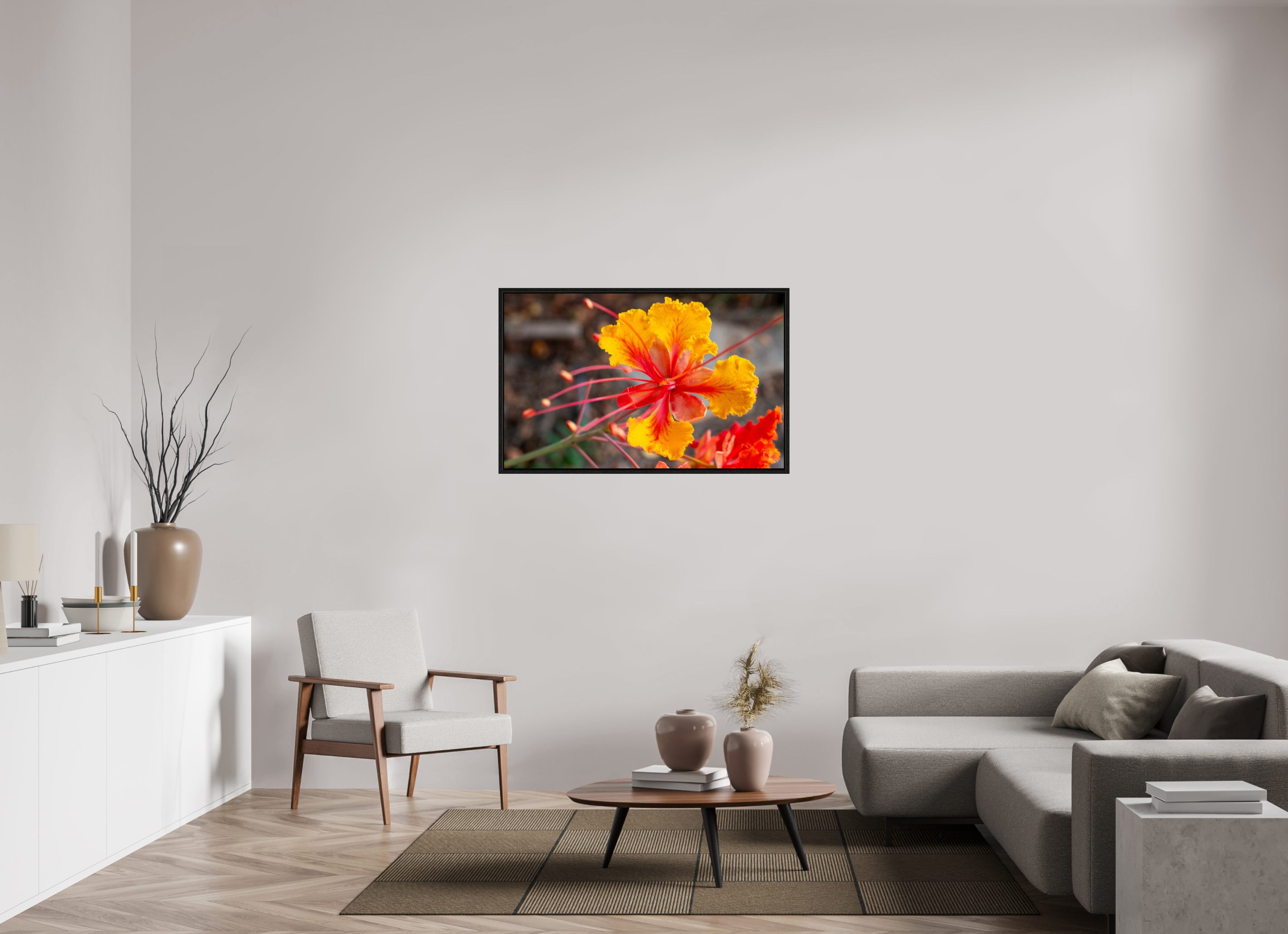 Pride of Barbados_yellow with orange_aspect ratio 16x10