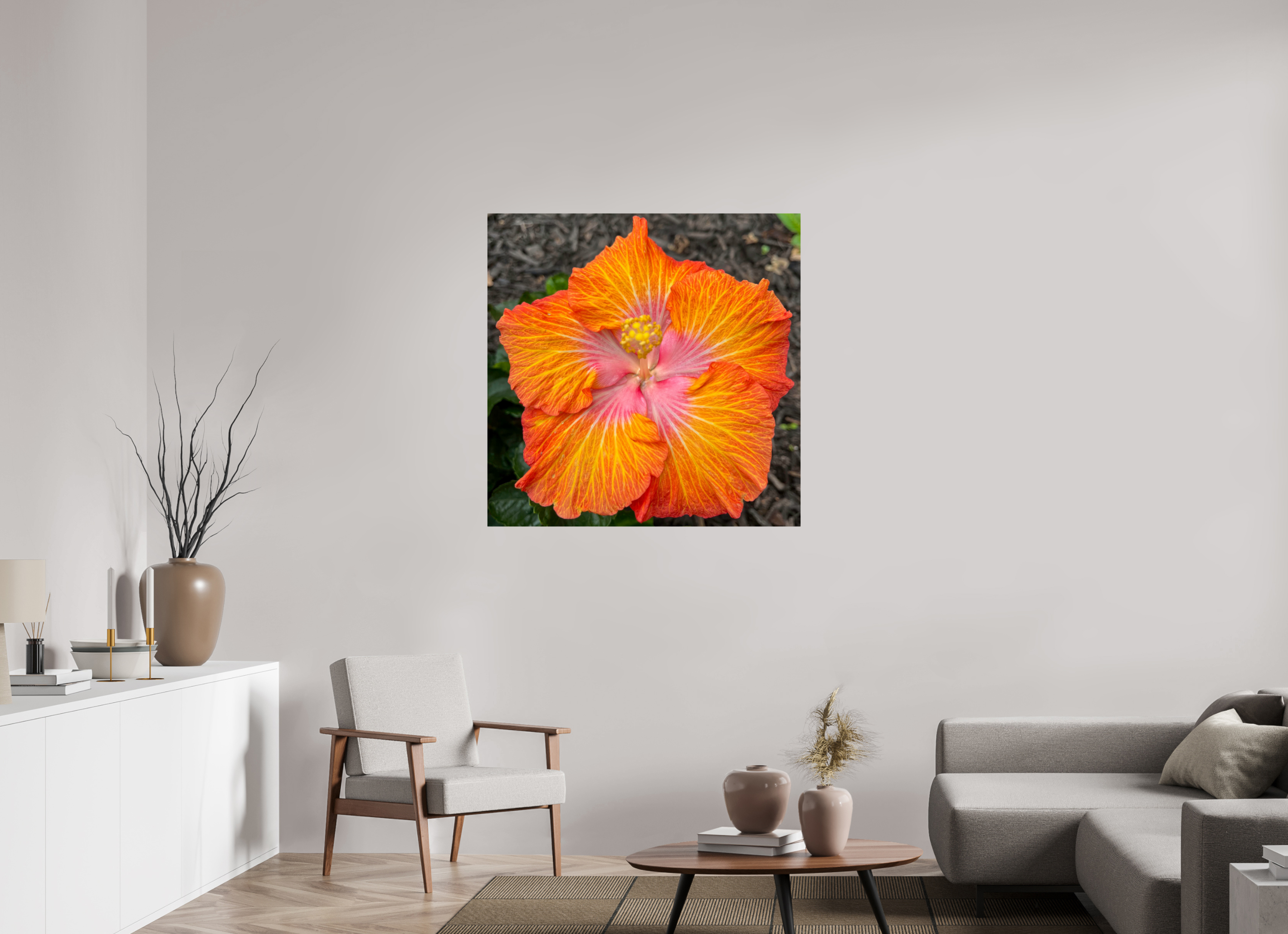 Hibiscus hybrid_bright orange_aspect ratio 1:1