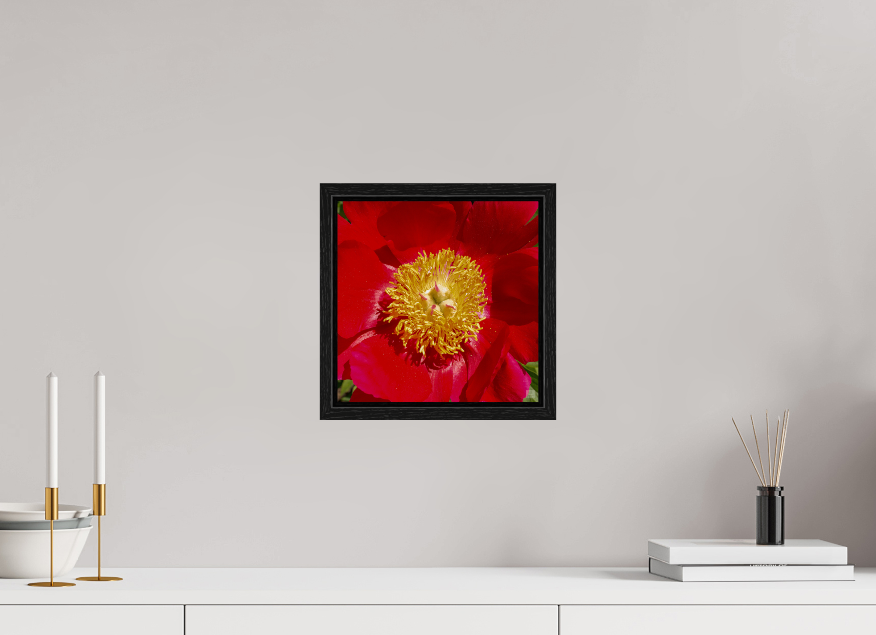 Peony_red close up_aspect ratio 1x1