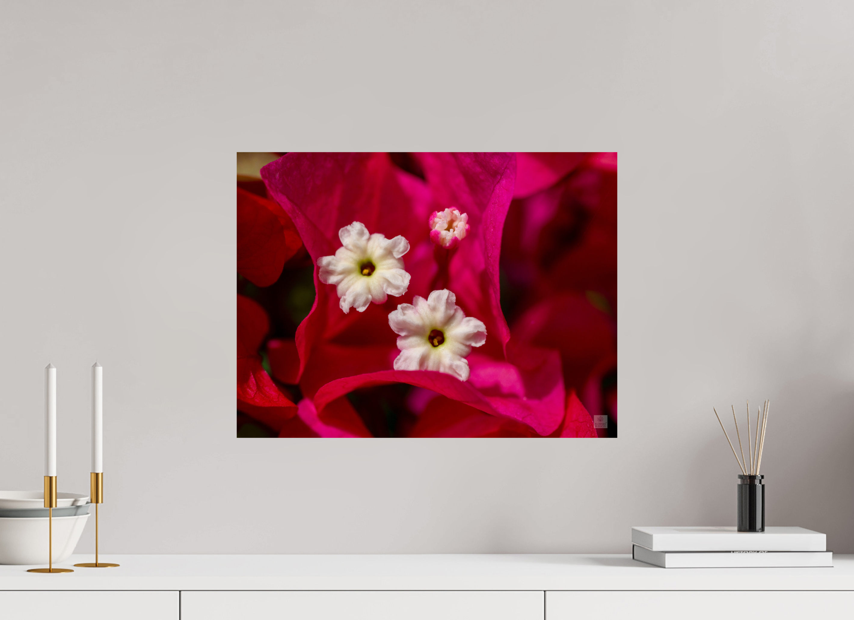 Bougainvillea_pink close-up_aspect ratio 4:3