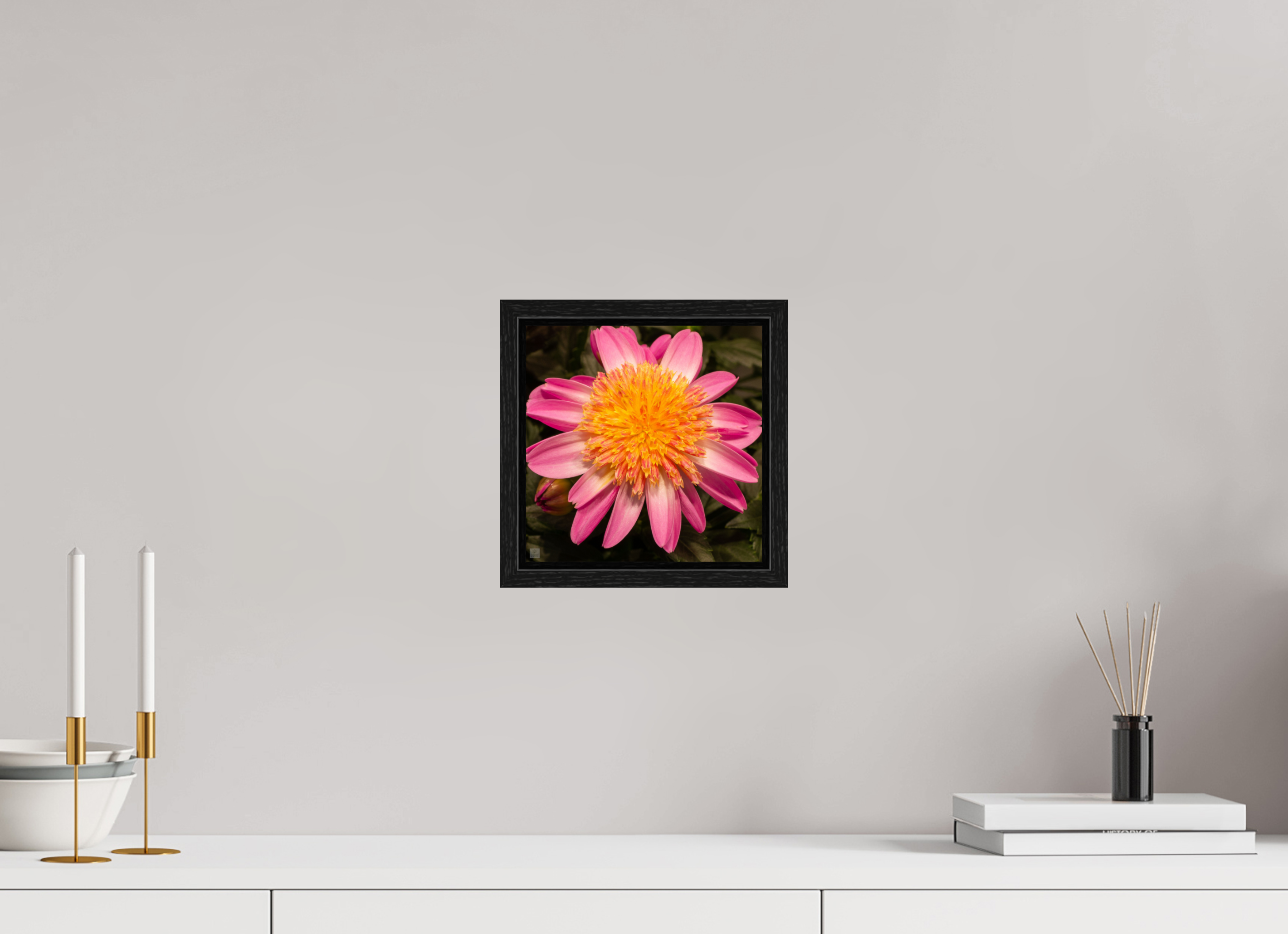 Dahlia_light pink with yellow center_aspect ration 1:1