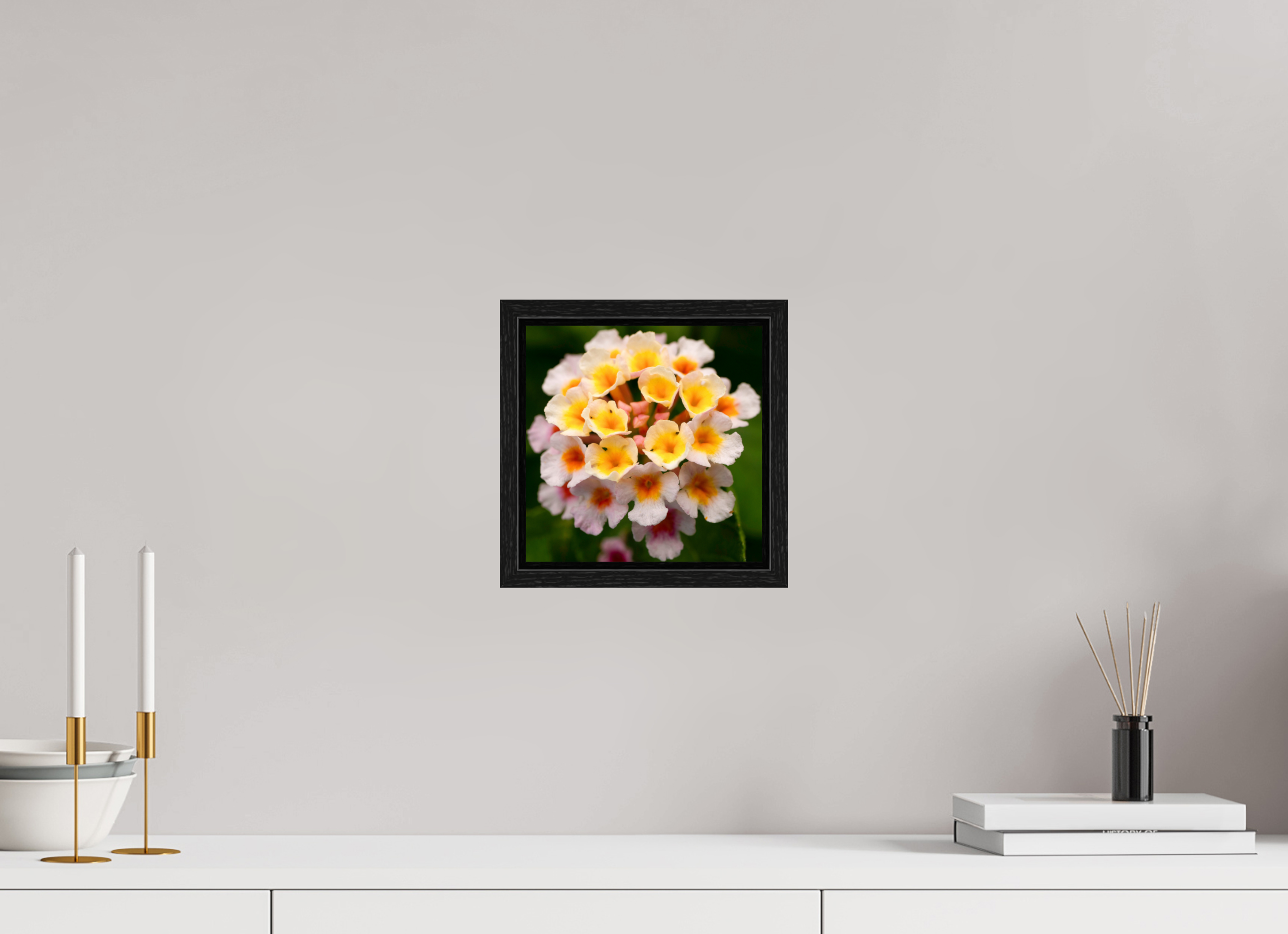 Lantana_light yellow with pale pink_aspect ratio 1x1