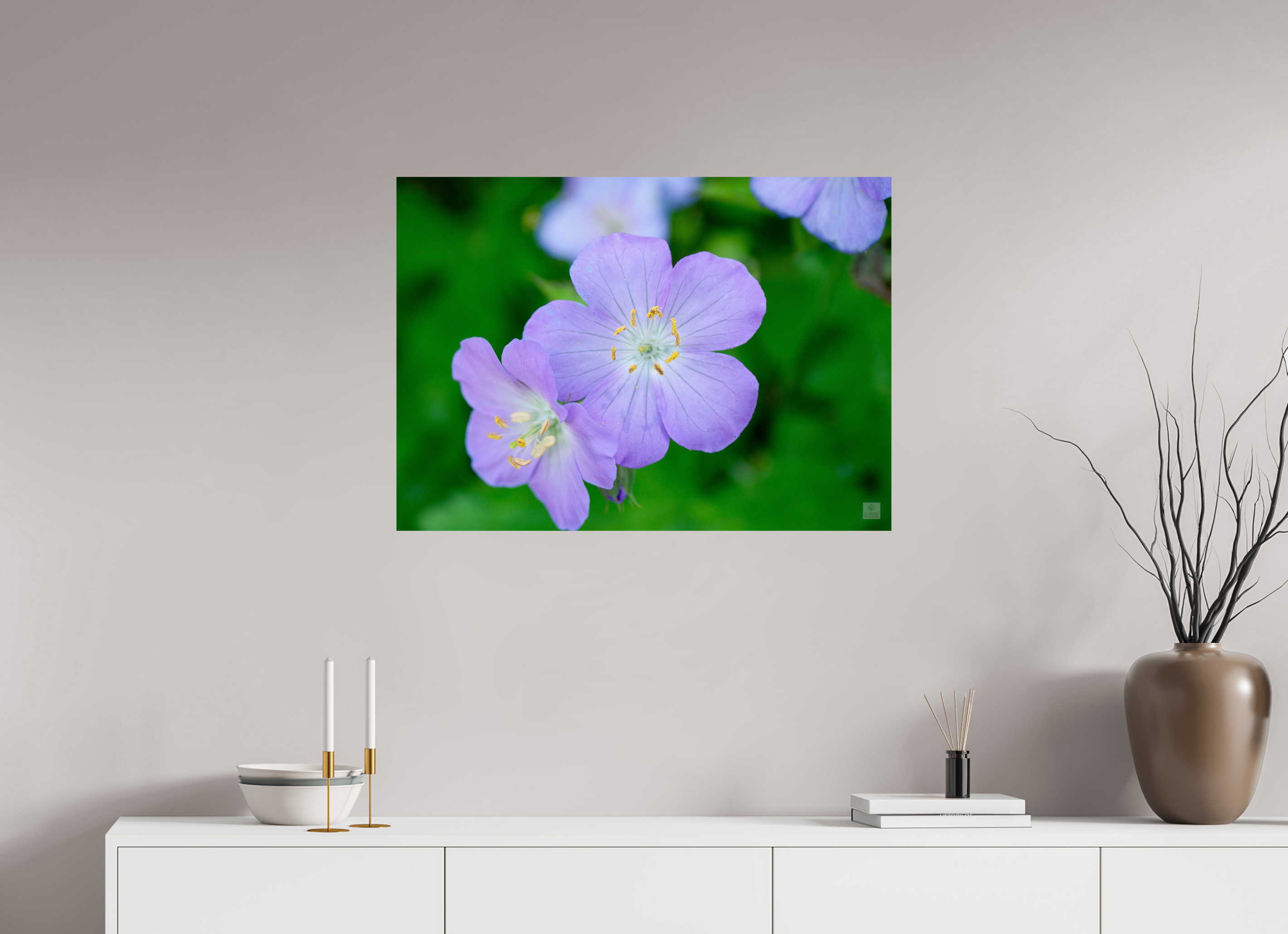 Hardy Geranium_Cranesbill_aspect ratio 7:5