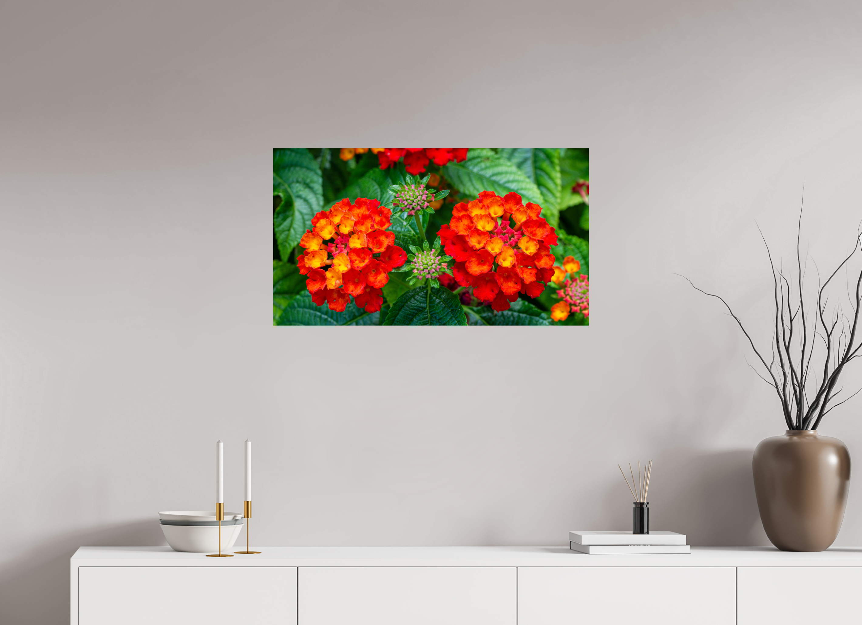 Lantana_orange with yellow double flower_aspect ratio 16x9