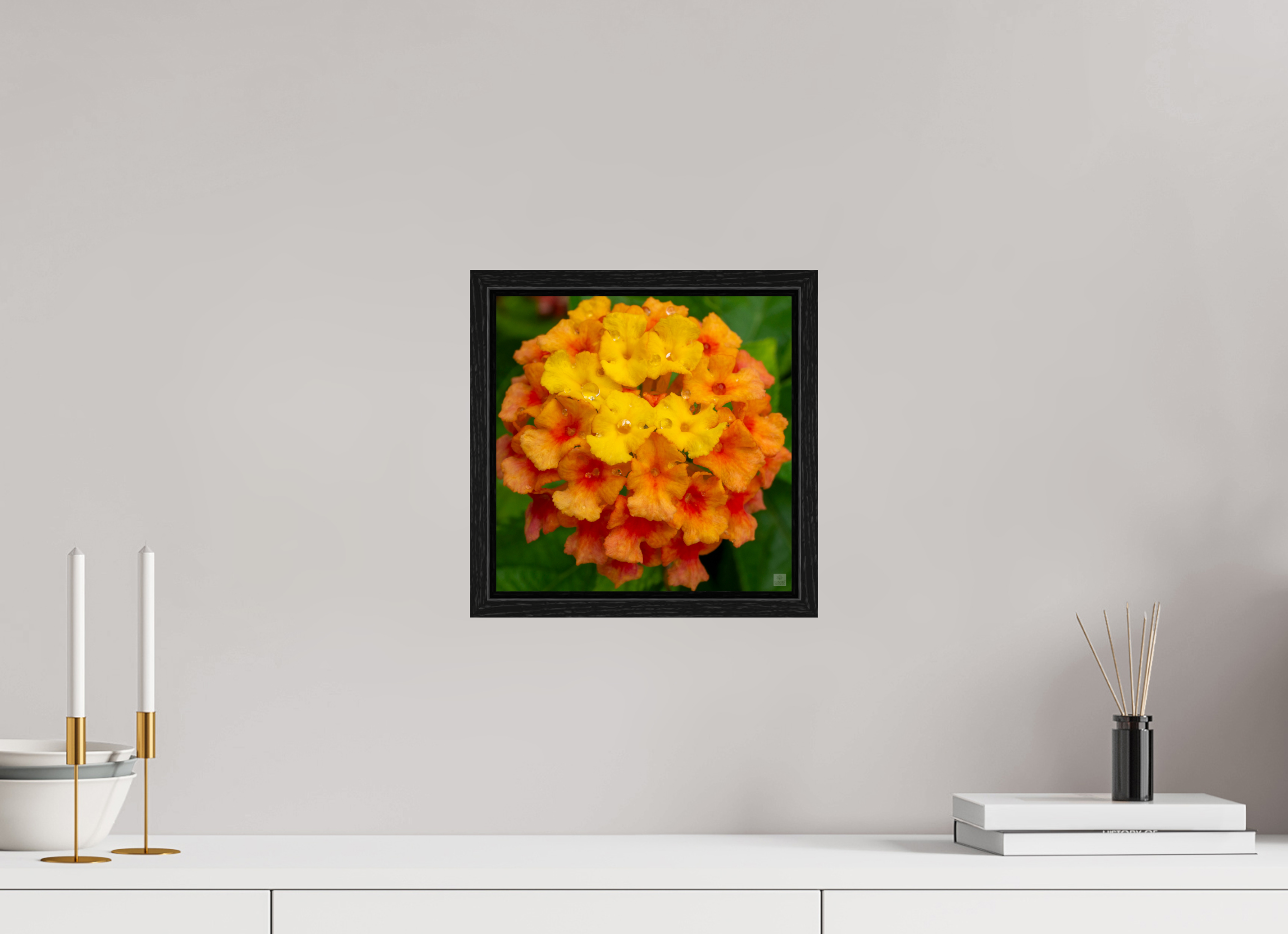 Lantana_orange with yellow (water droplets)_aspect ratio 1x1