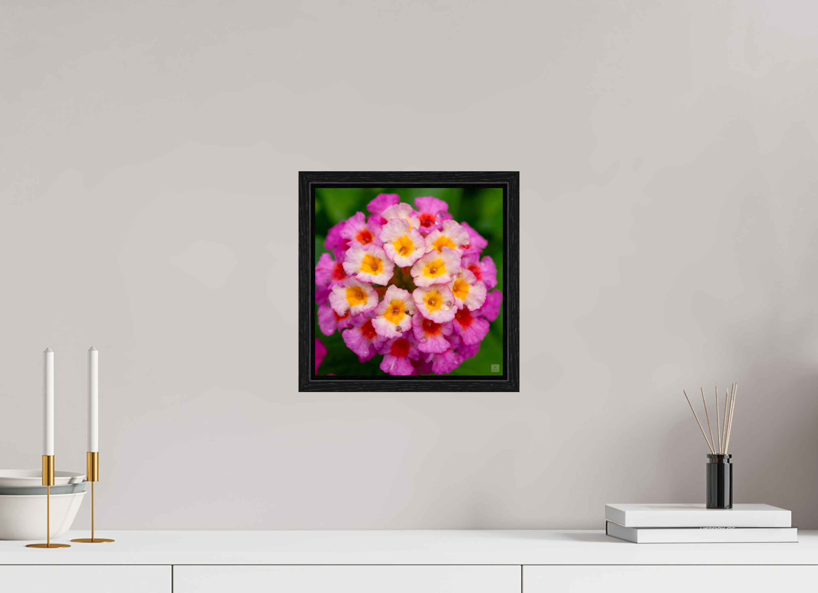 Lantana_deep pink with yellow_water droplets_aspect ratio 1x1