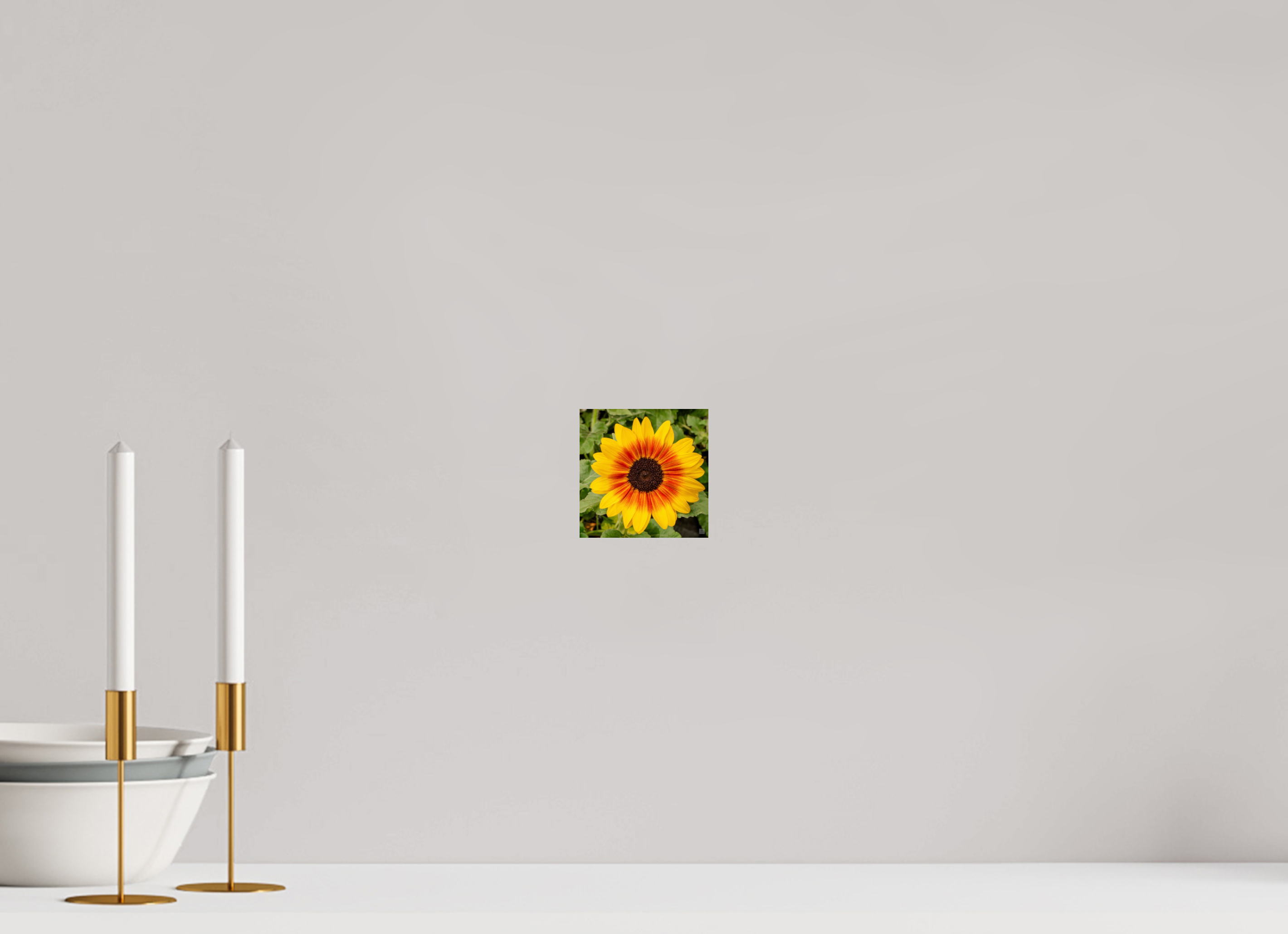 Sunflower hybrid_yellow with orange center_aspect ratio 1x1