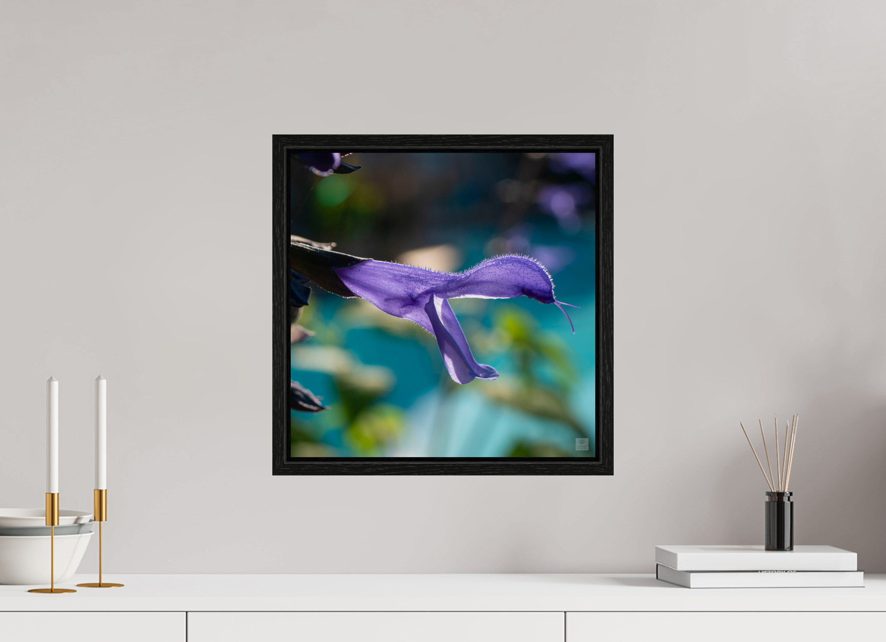 Blue black sage_single_aspect ratio 1x1
