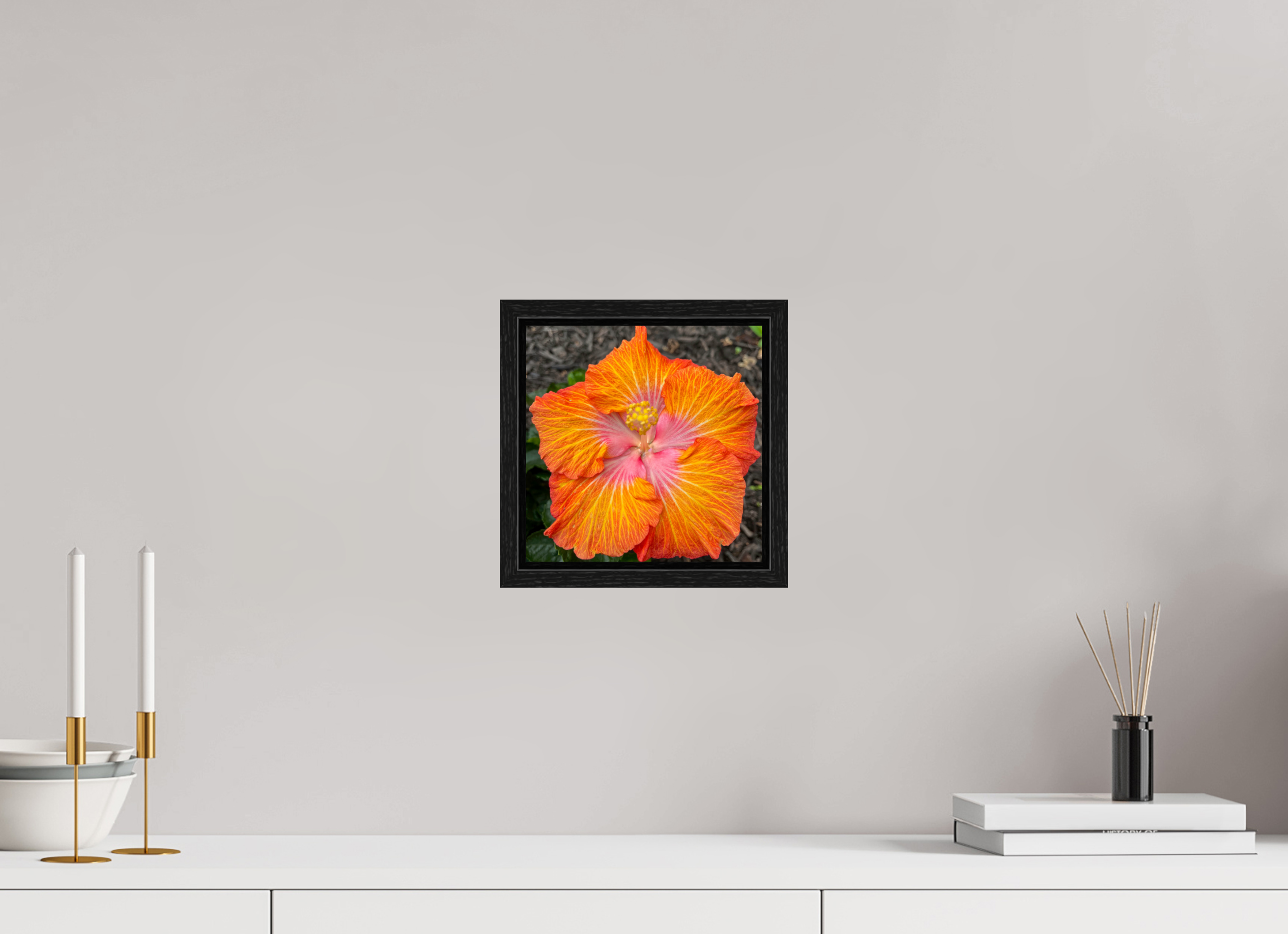 Hibiscus hybrid_bright orange_aspect ratio 1:1