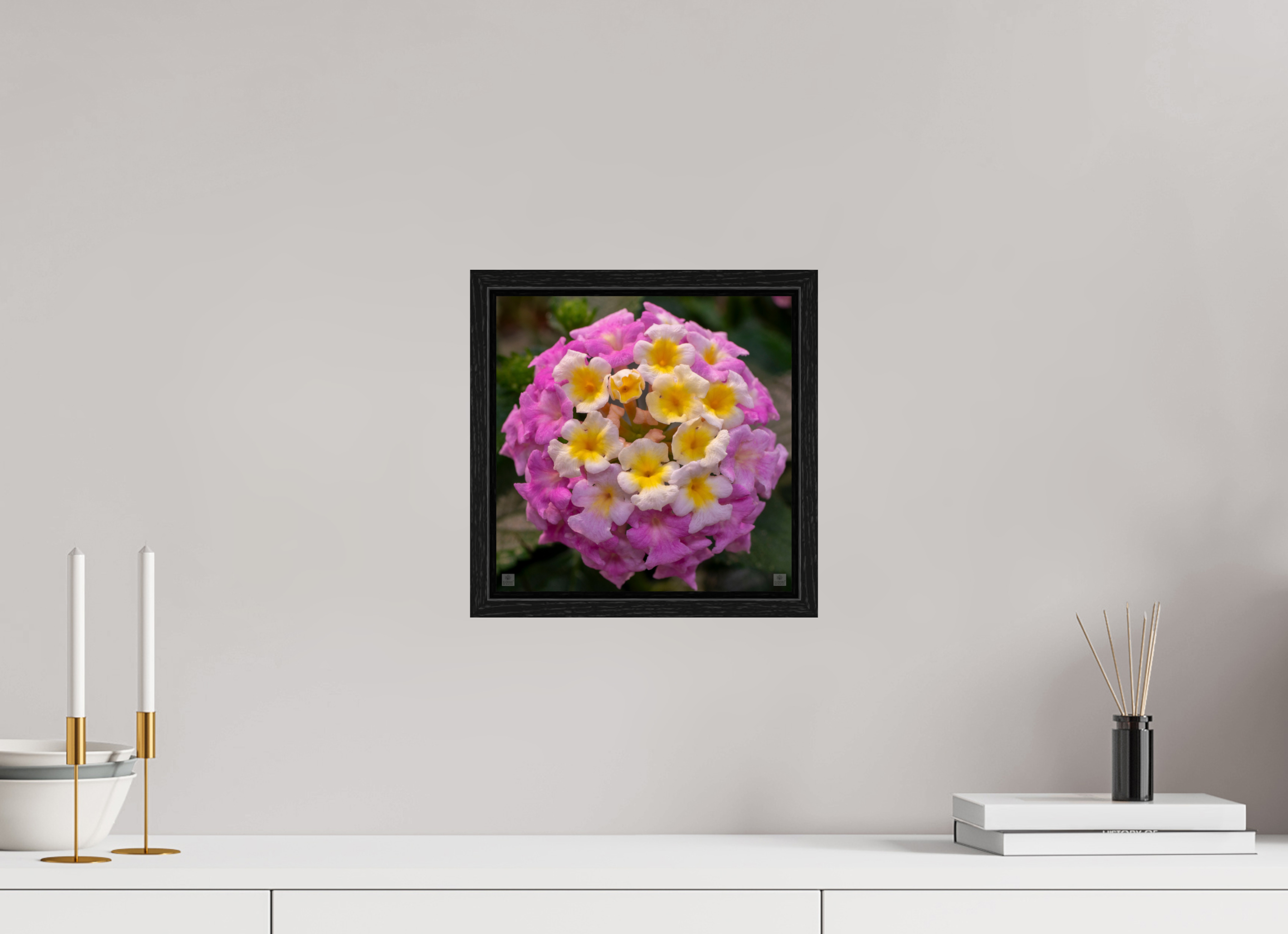 Lantana_deep pink with yellow_aspect ratio 1x1