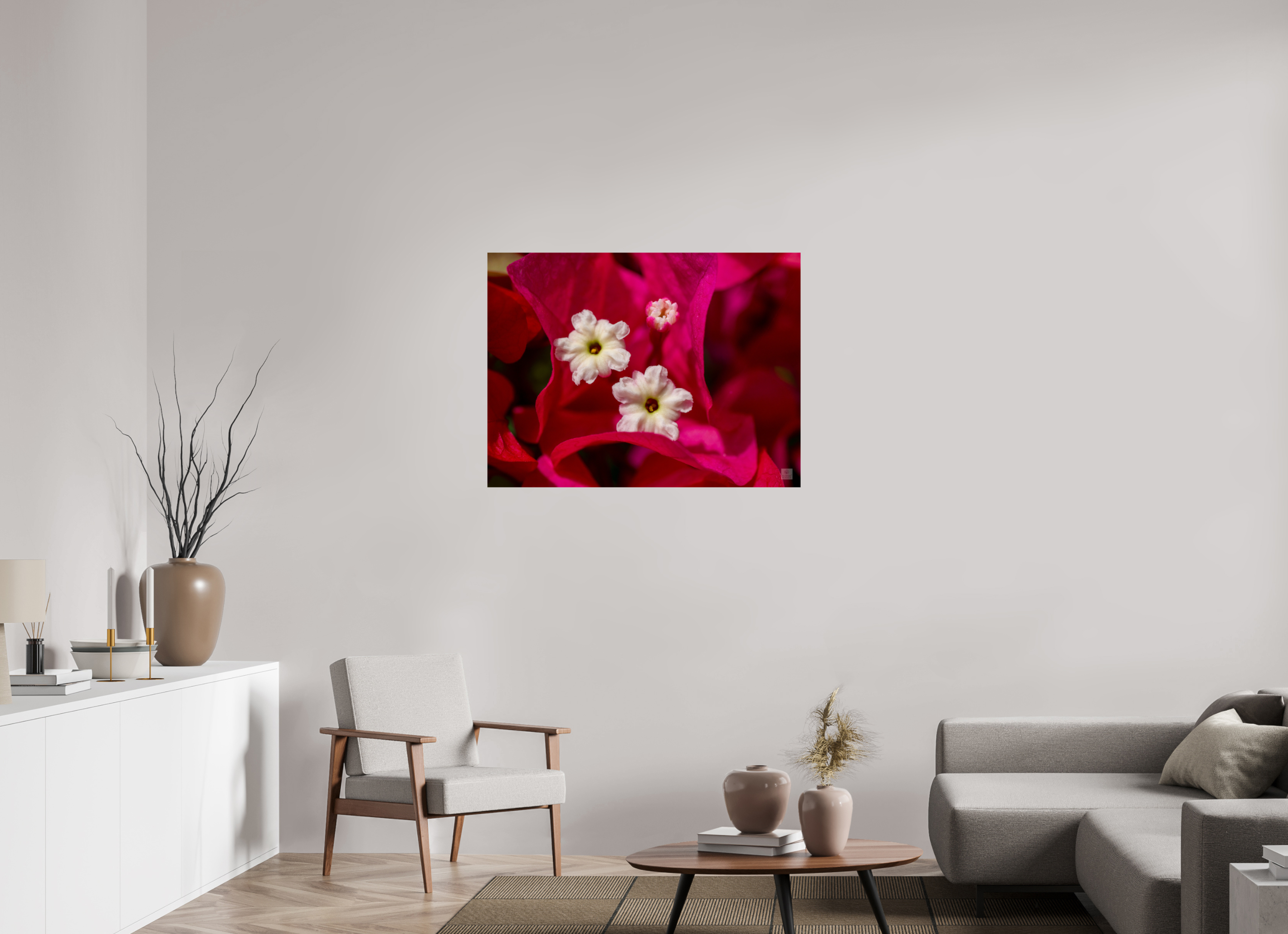 Bougainvillea_pink close-up_aspect ratio 4:3