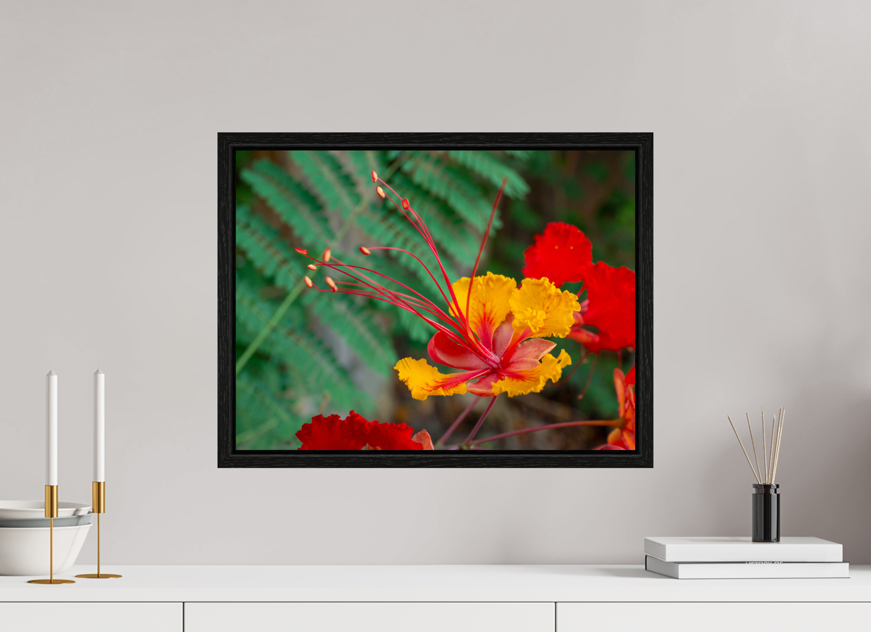 Pride of Barbados_yellow with orange_aspect ratio 4x3