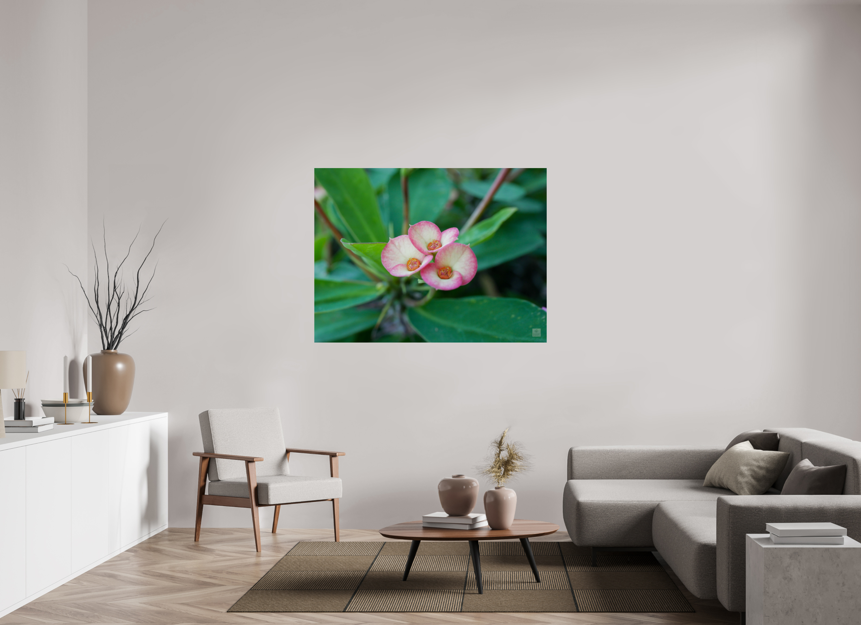 Crown of Thorns_pink fringe_aspect ratio 4:3