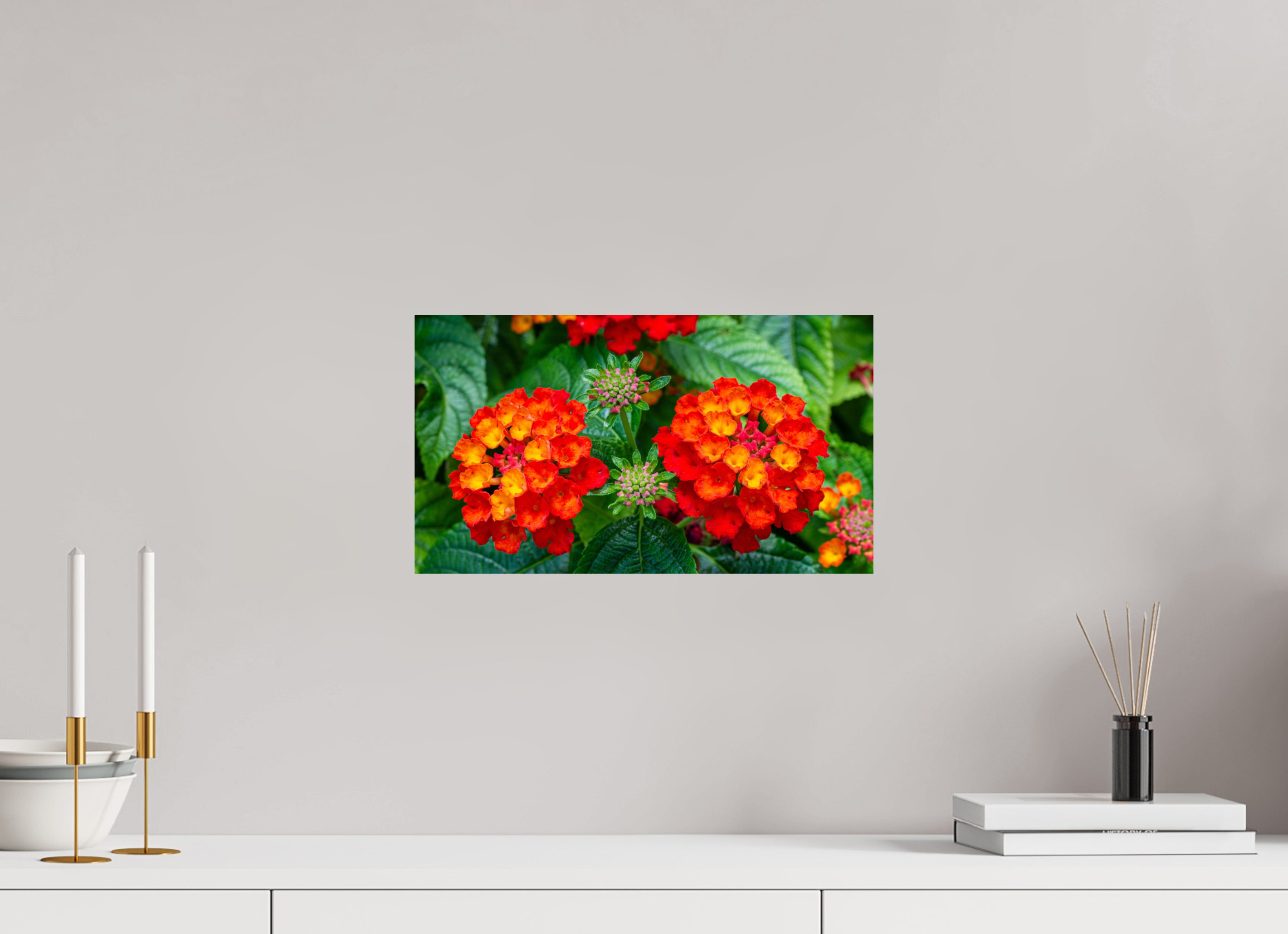 Lantana_orange with yellow double flower_aspect ratio 16x9
