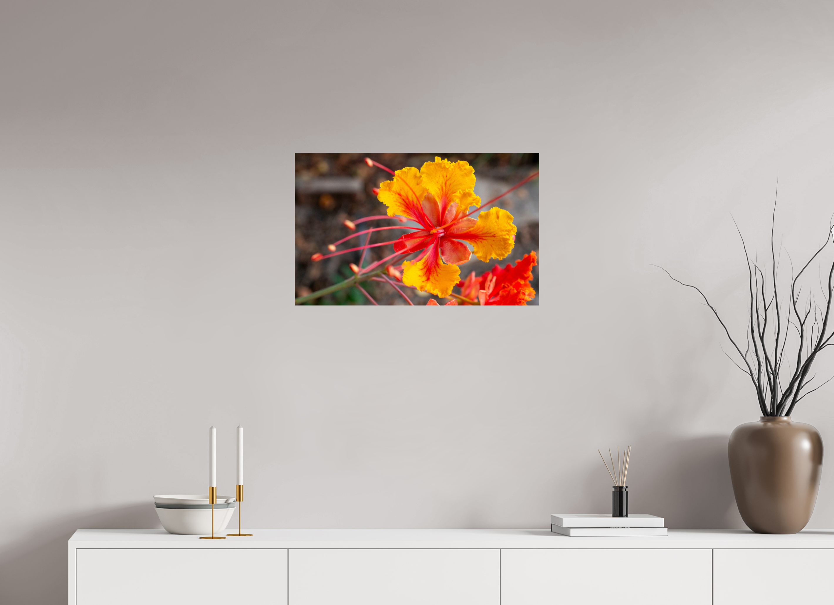 Pride of Barbados_yellow with orange_aspect ratio 16x10