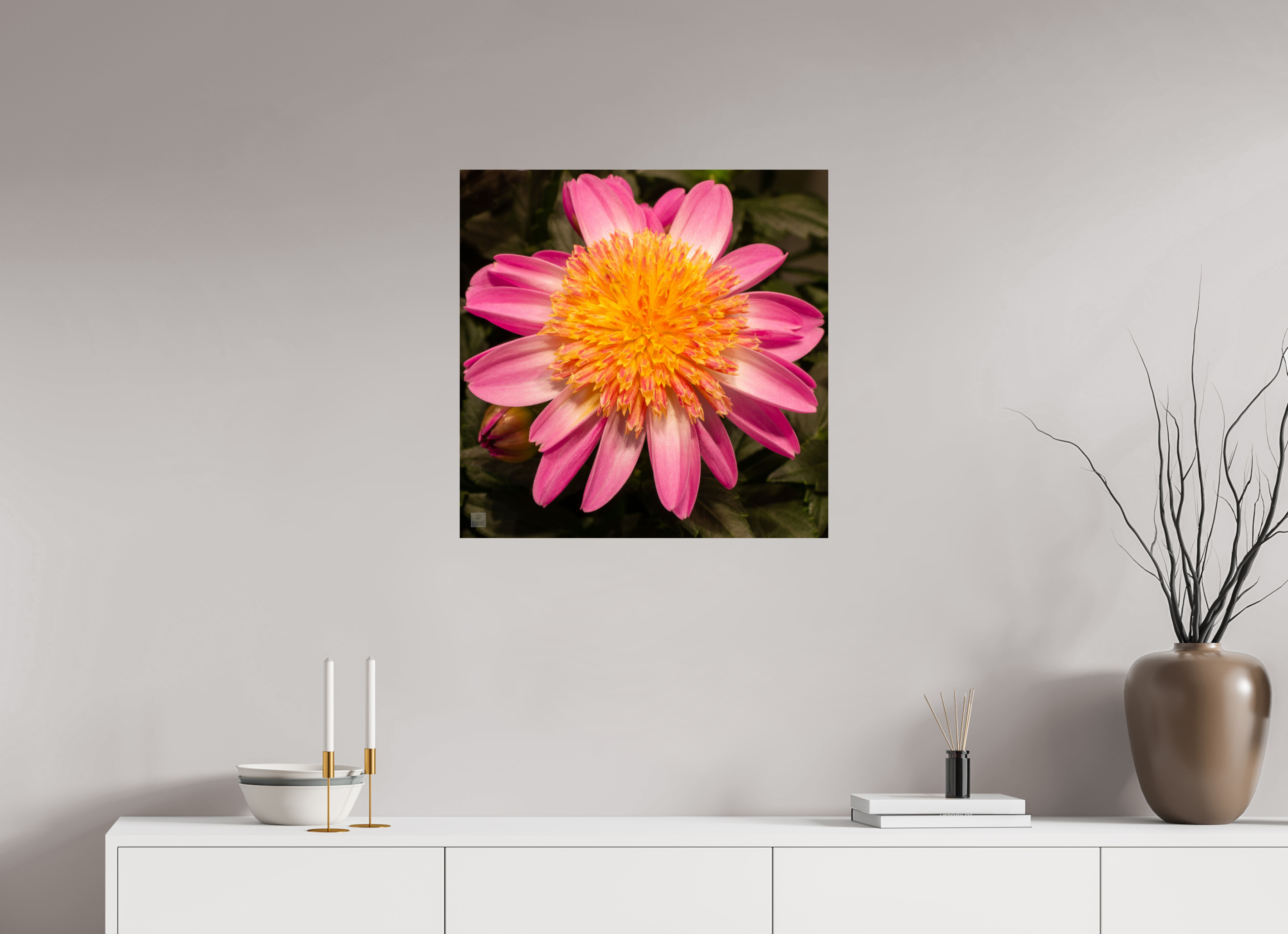 Dahlia_light pink with yellow center_aspect ration 1:1