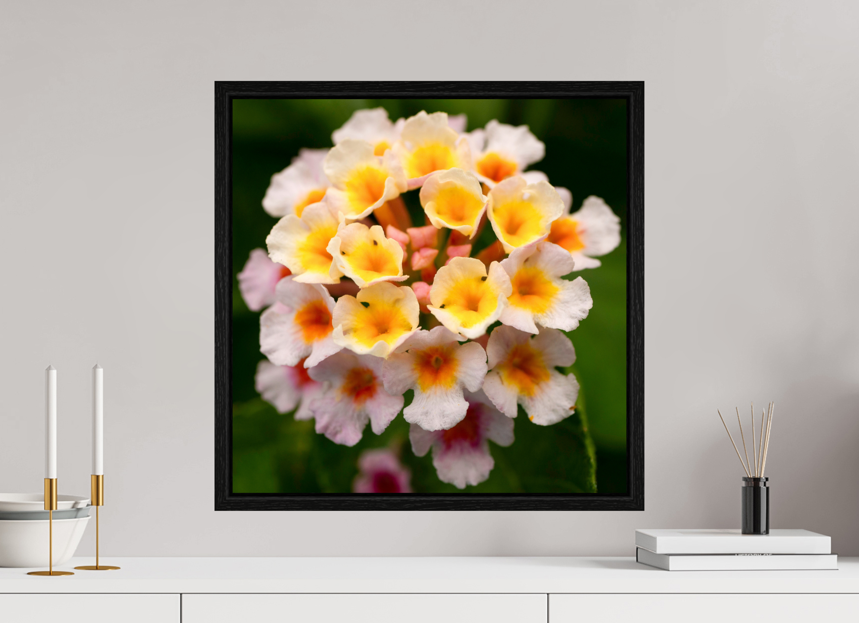 Lantana_light yellow with pale pink_aspect ratio 1x1
