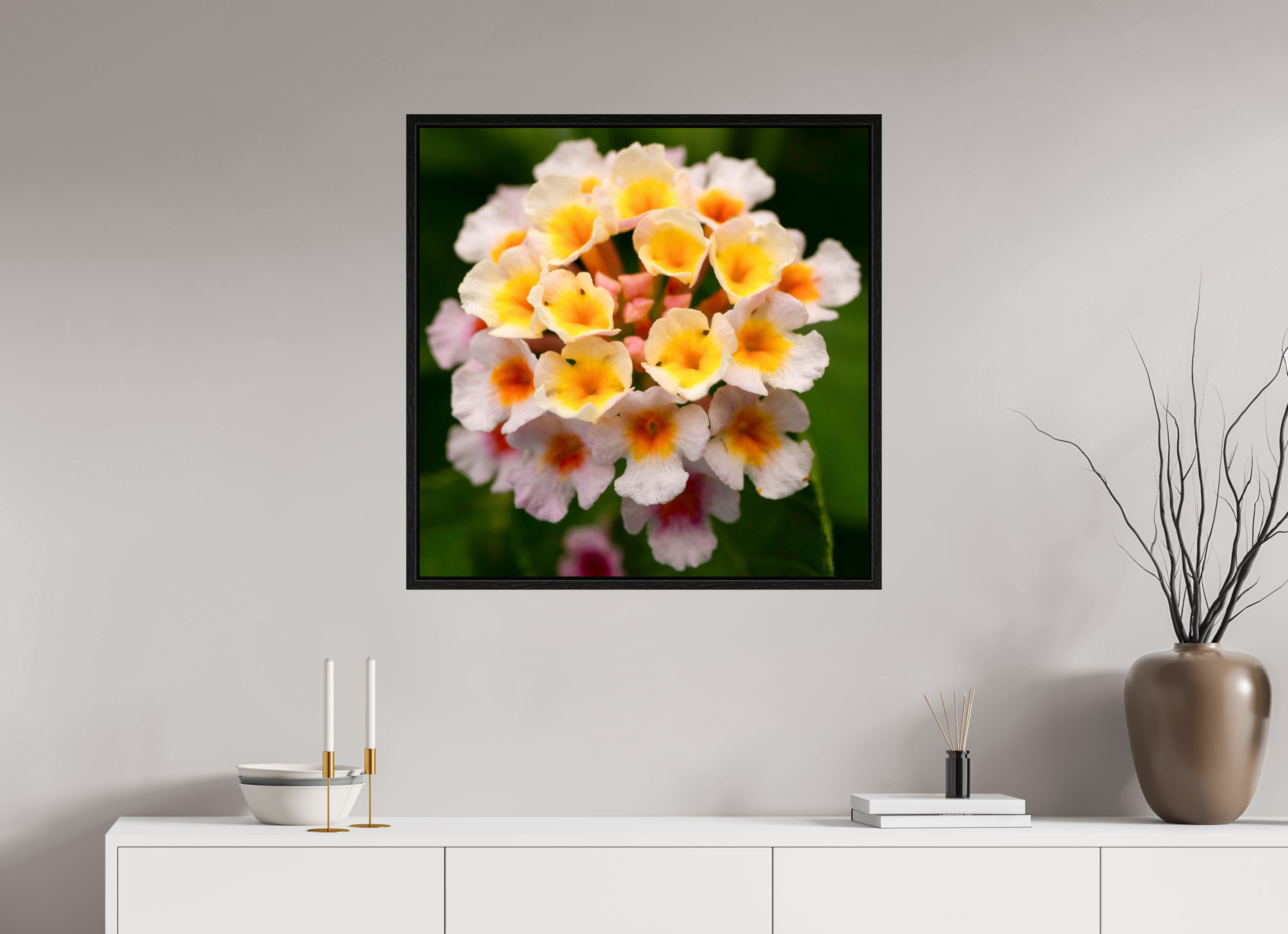 Lantana_light yellow with pale pink_aspect ratio 1x1