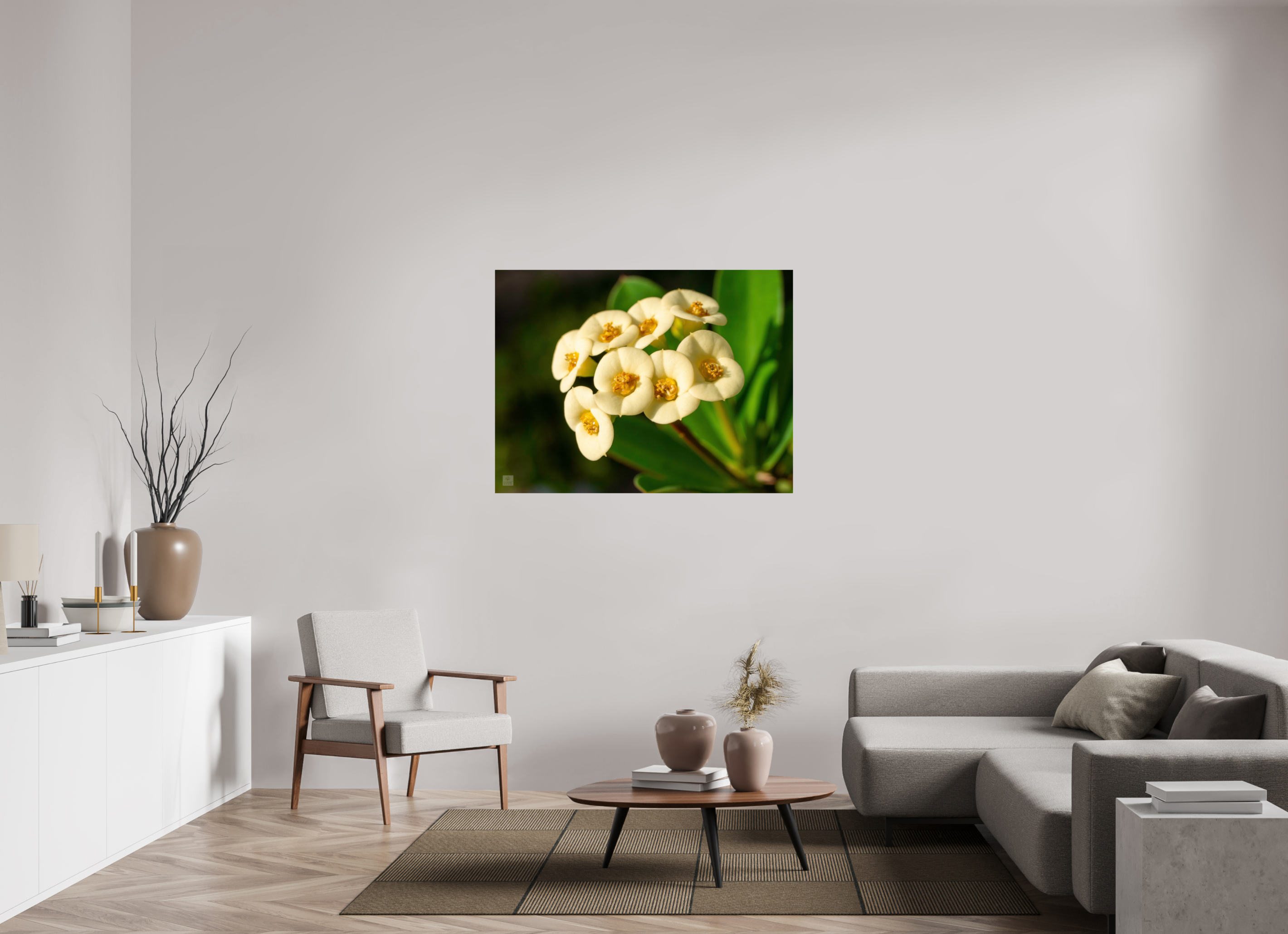 Crown of Thorns_flower group_aspect ratio 4:3