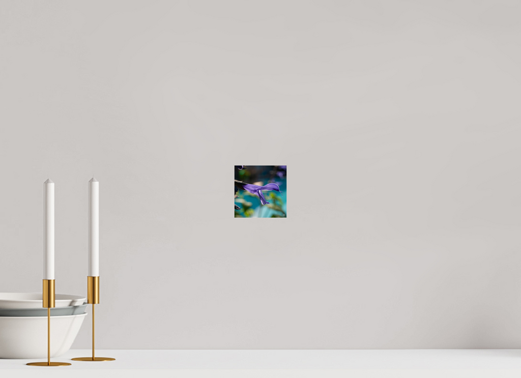 Blue black sage_single_aspect ratio 1x1
