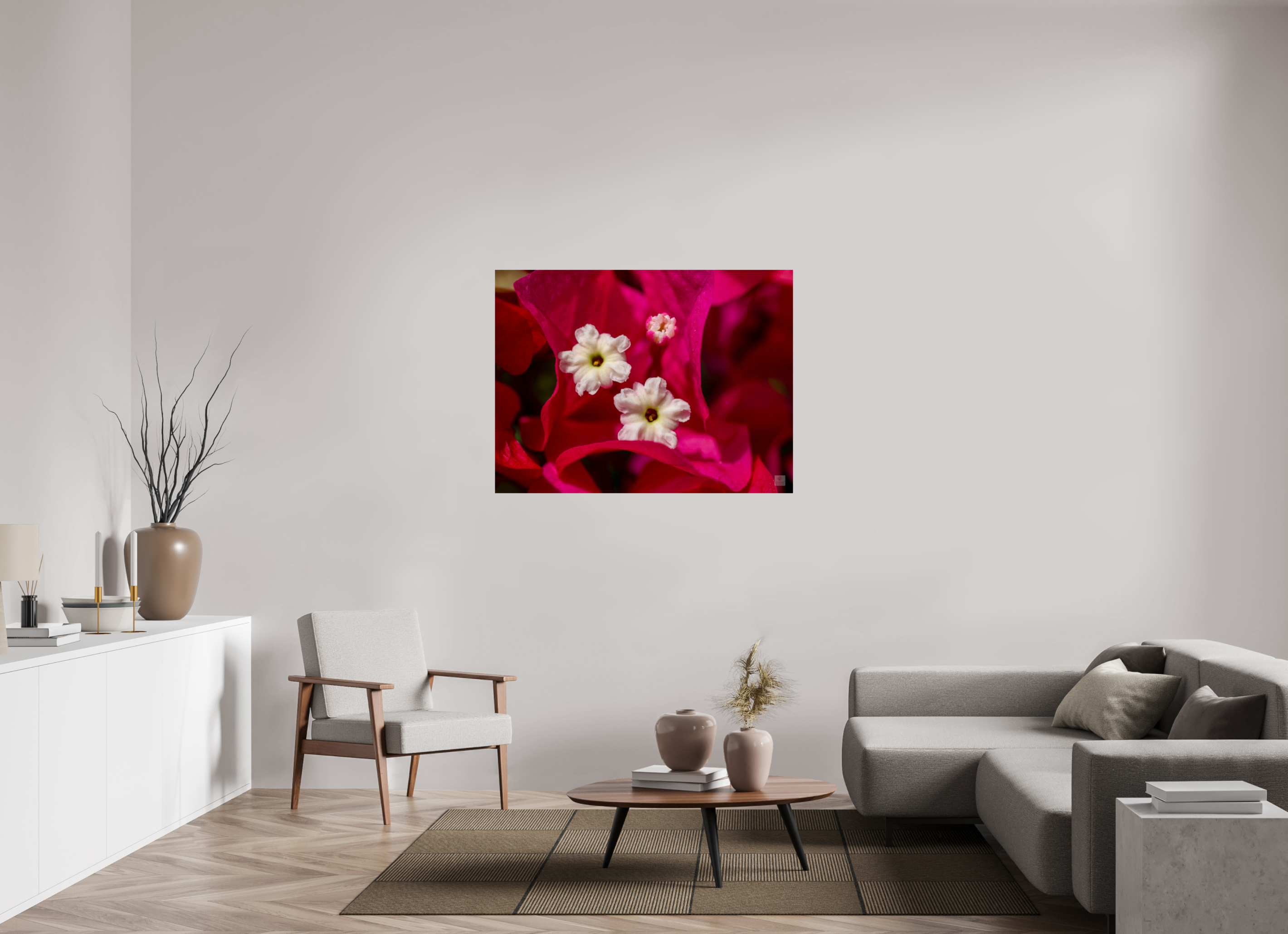 Bougainvillea_pink close-up_aspect ratio 4:3