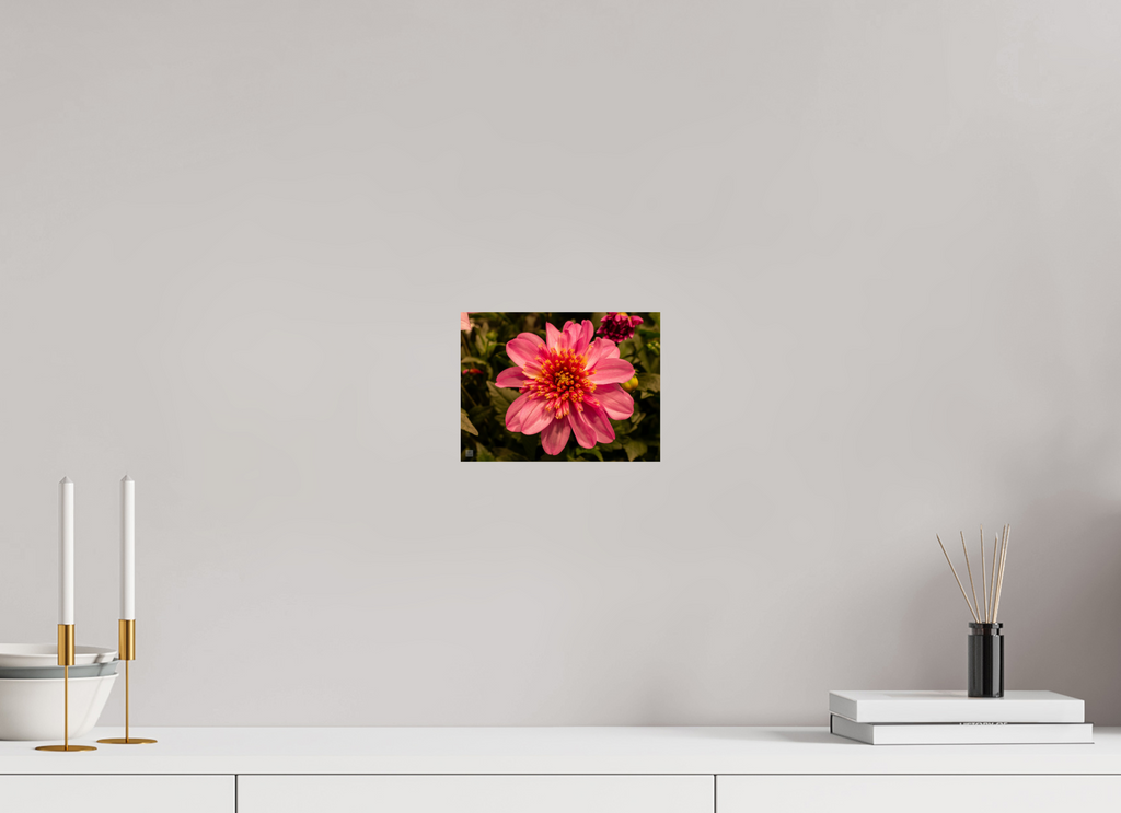 Dahlia_pink with yellow trim_aspect ratio 4:3