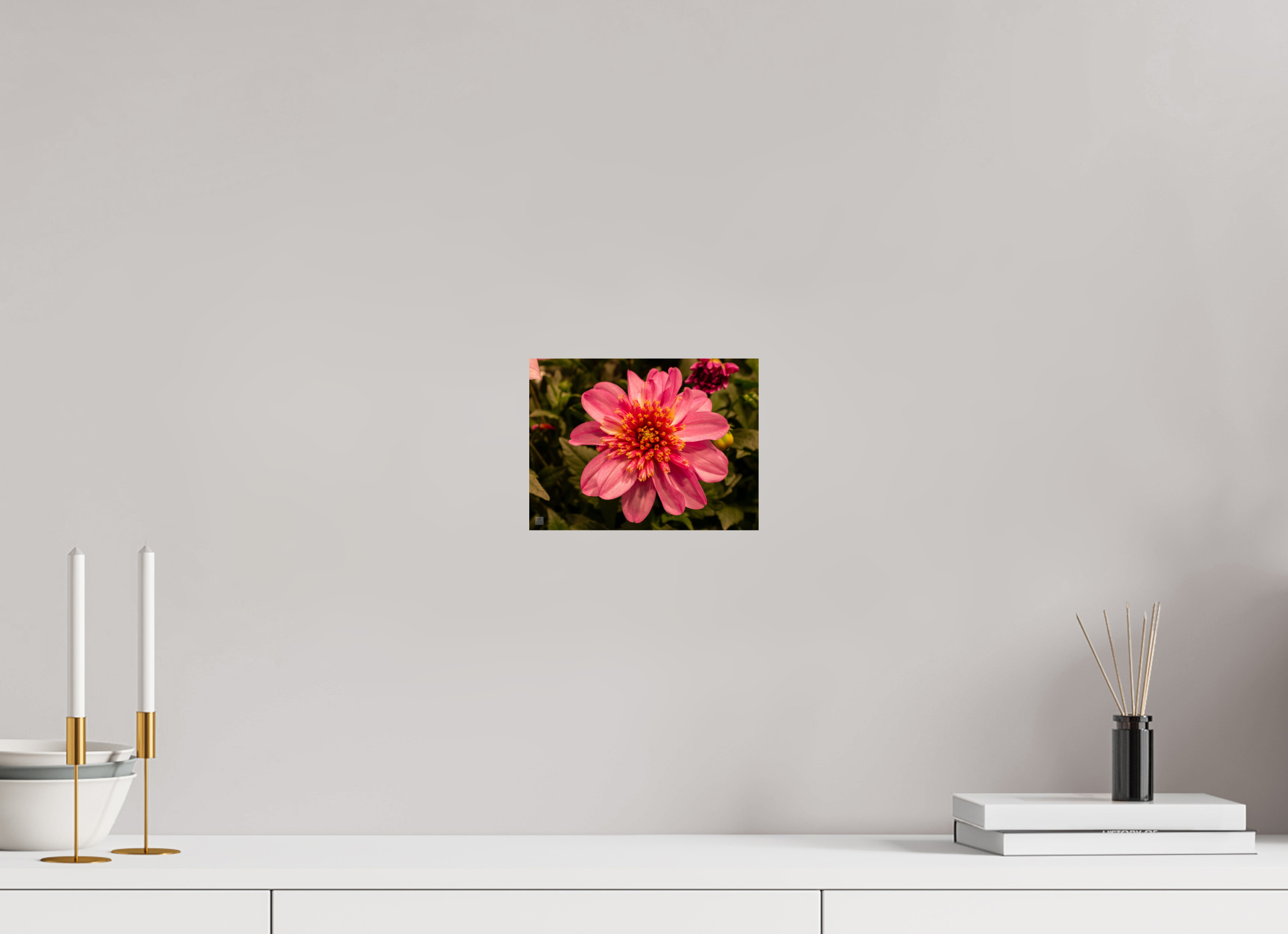Dahlia_pink with yellow trim_aspect ratio 4:3