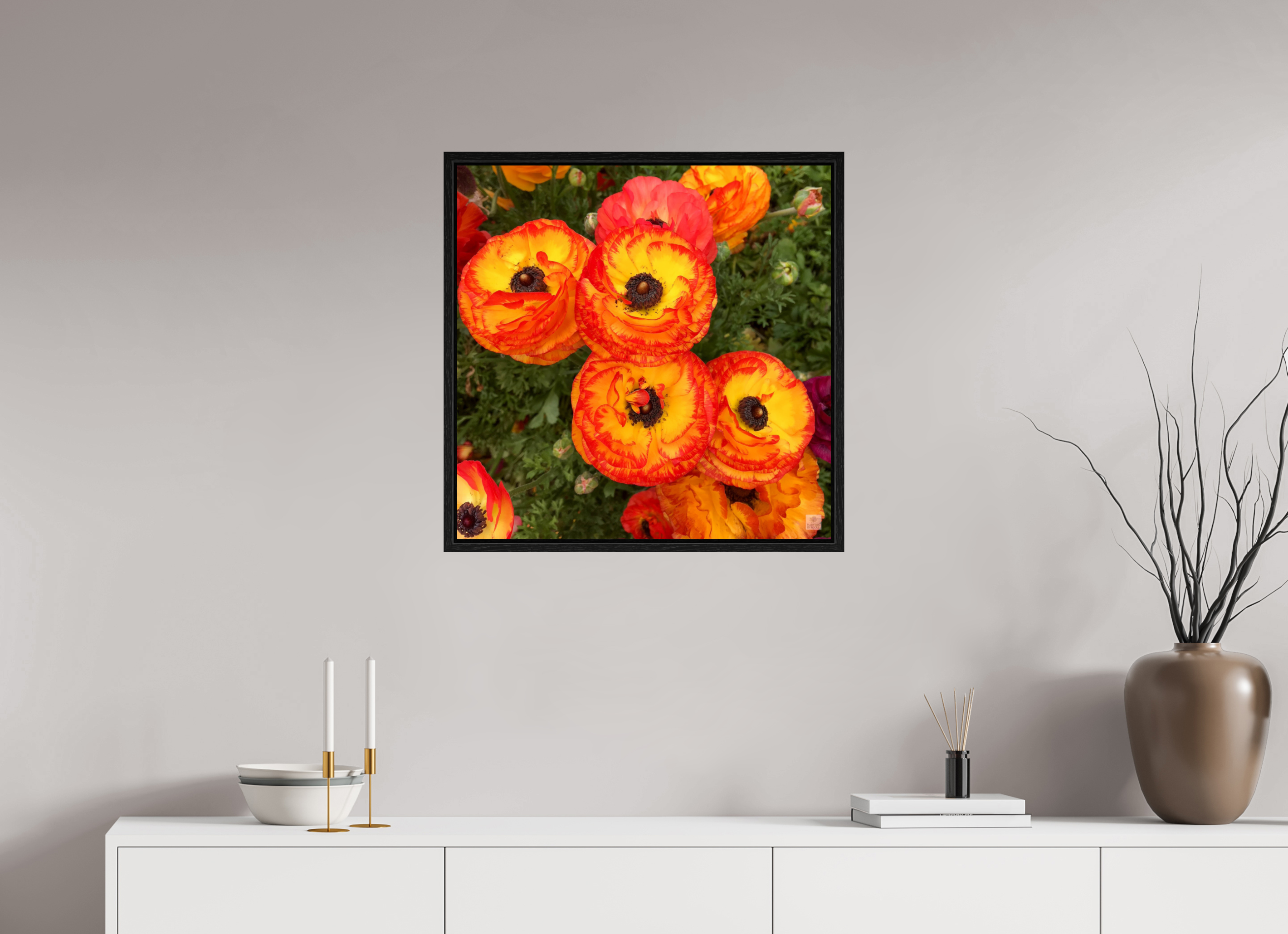 Ranunculus_bright orange_flower group_aspect ratio is 1:1