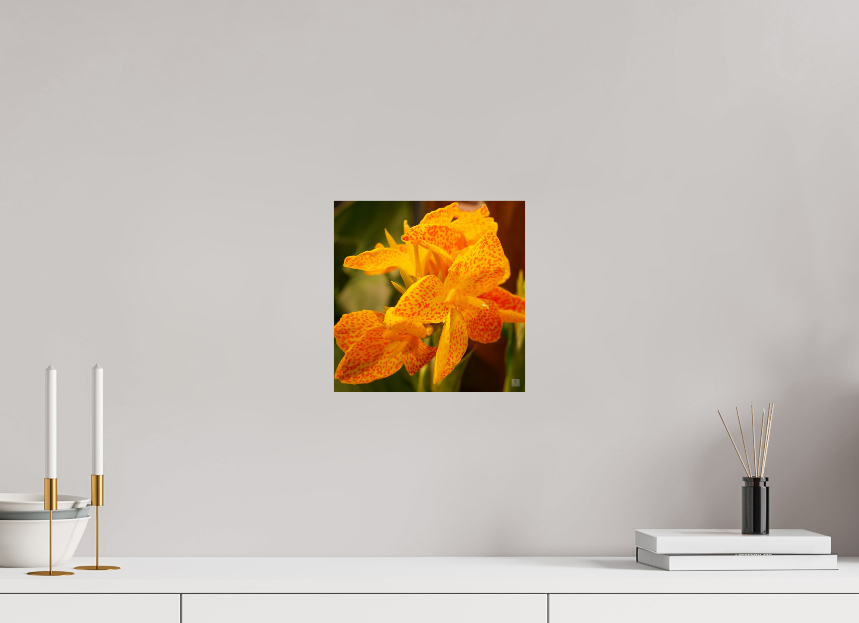 Canna lily_orange & yellow_aspect ratio 1:1