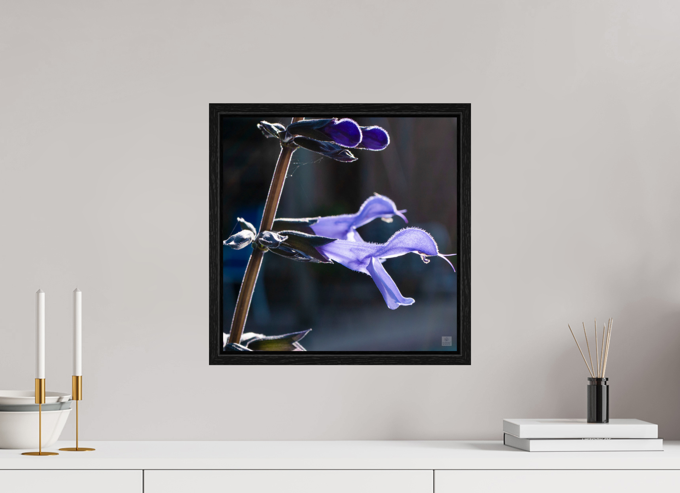 Blue black sage_group_aspect ratio 1x1