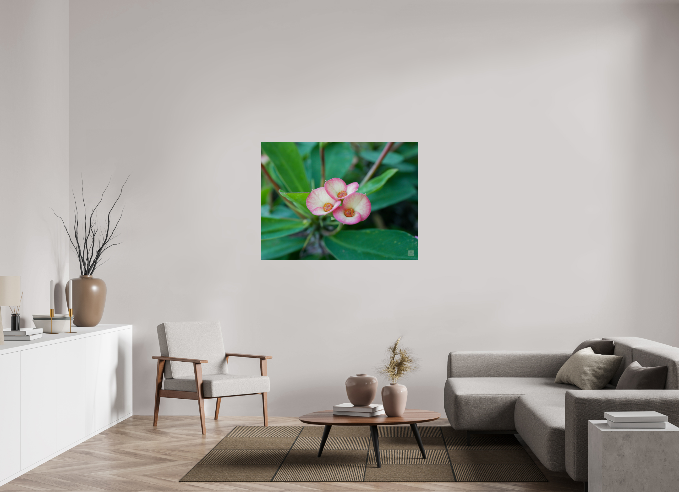 Crown of Thorns_pink fringe_aspect ratio 4:3